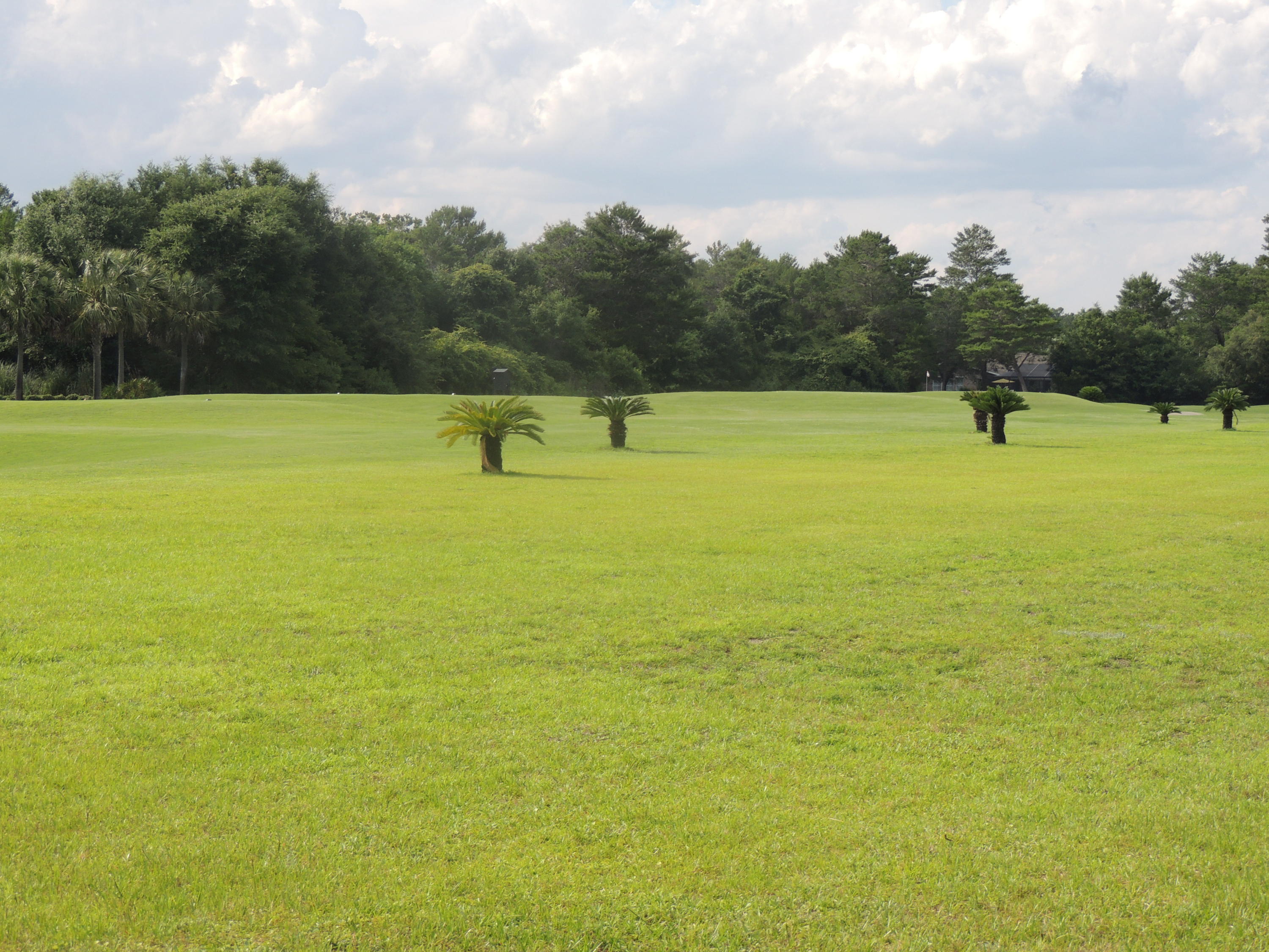 HOLLEY BY THE SEA, 1ST ADD - Land