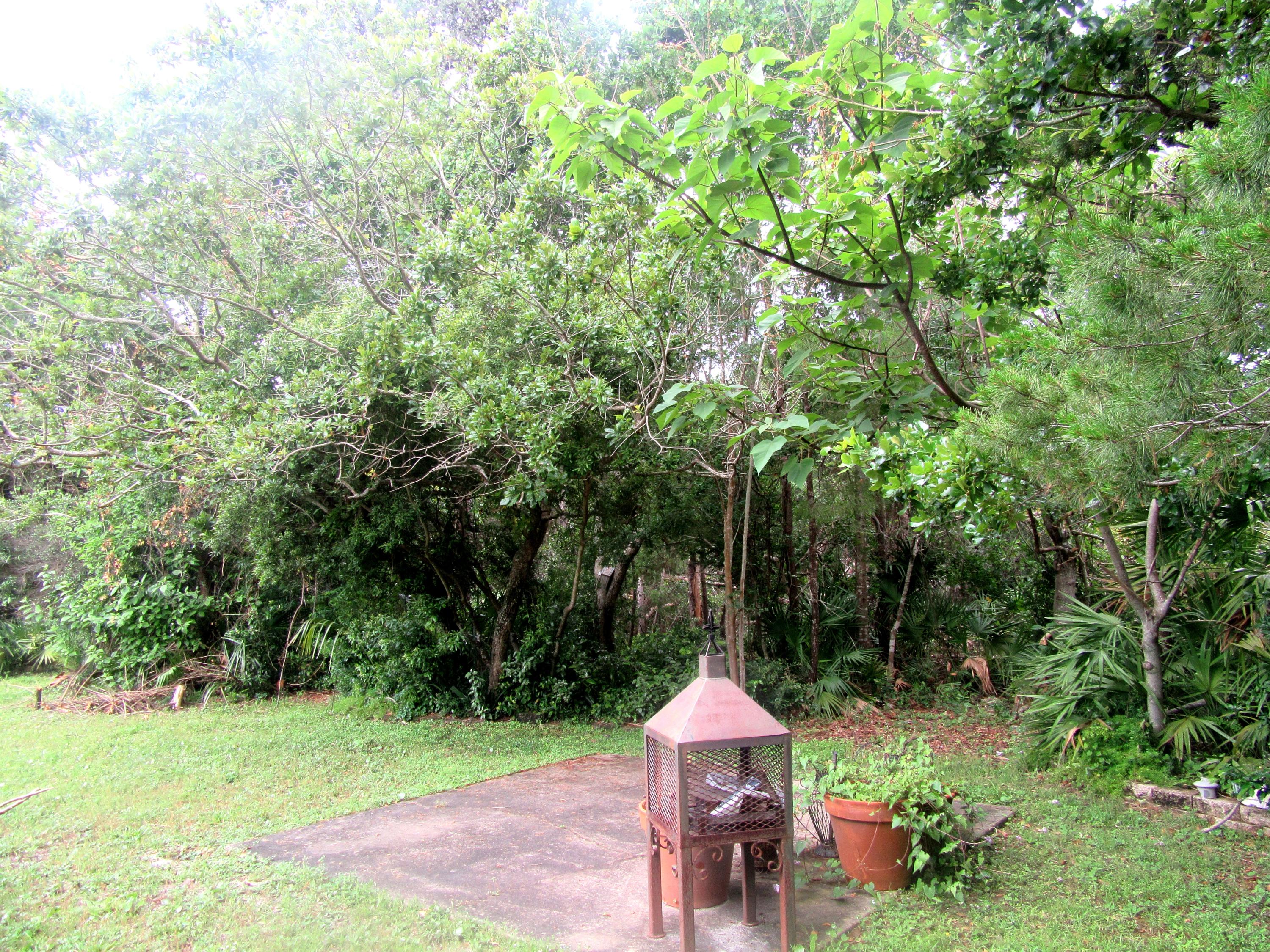 GULF PINES - Residential