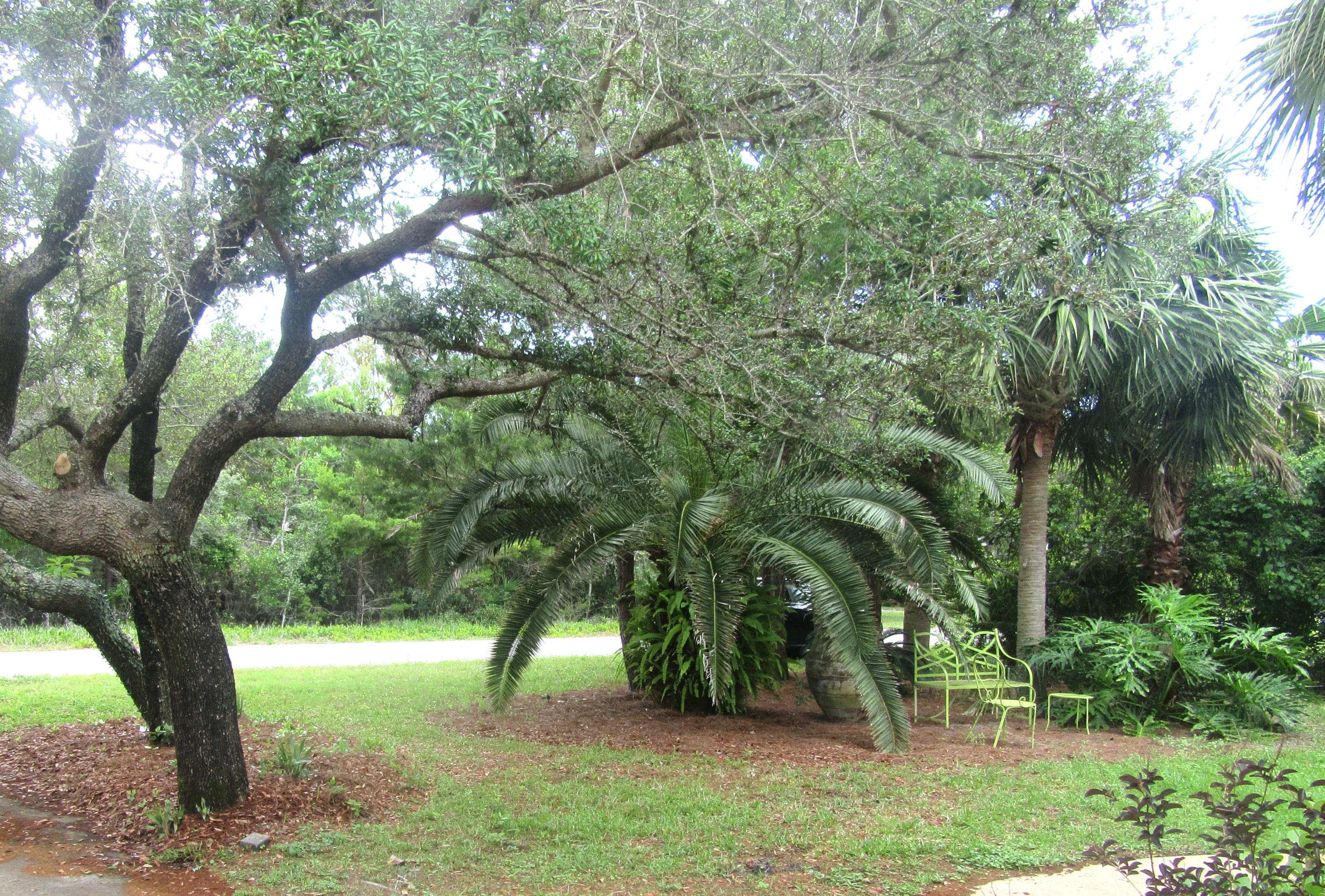 GULF PINES - Residential