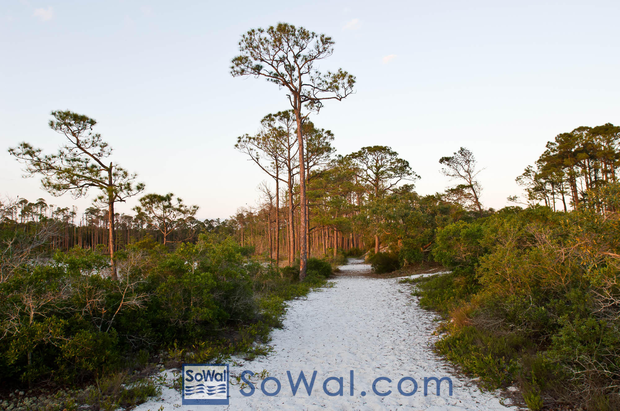 Peach Creek - Residential