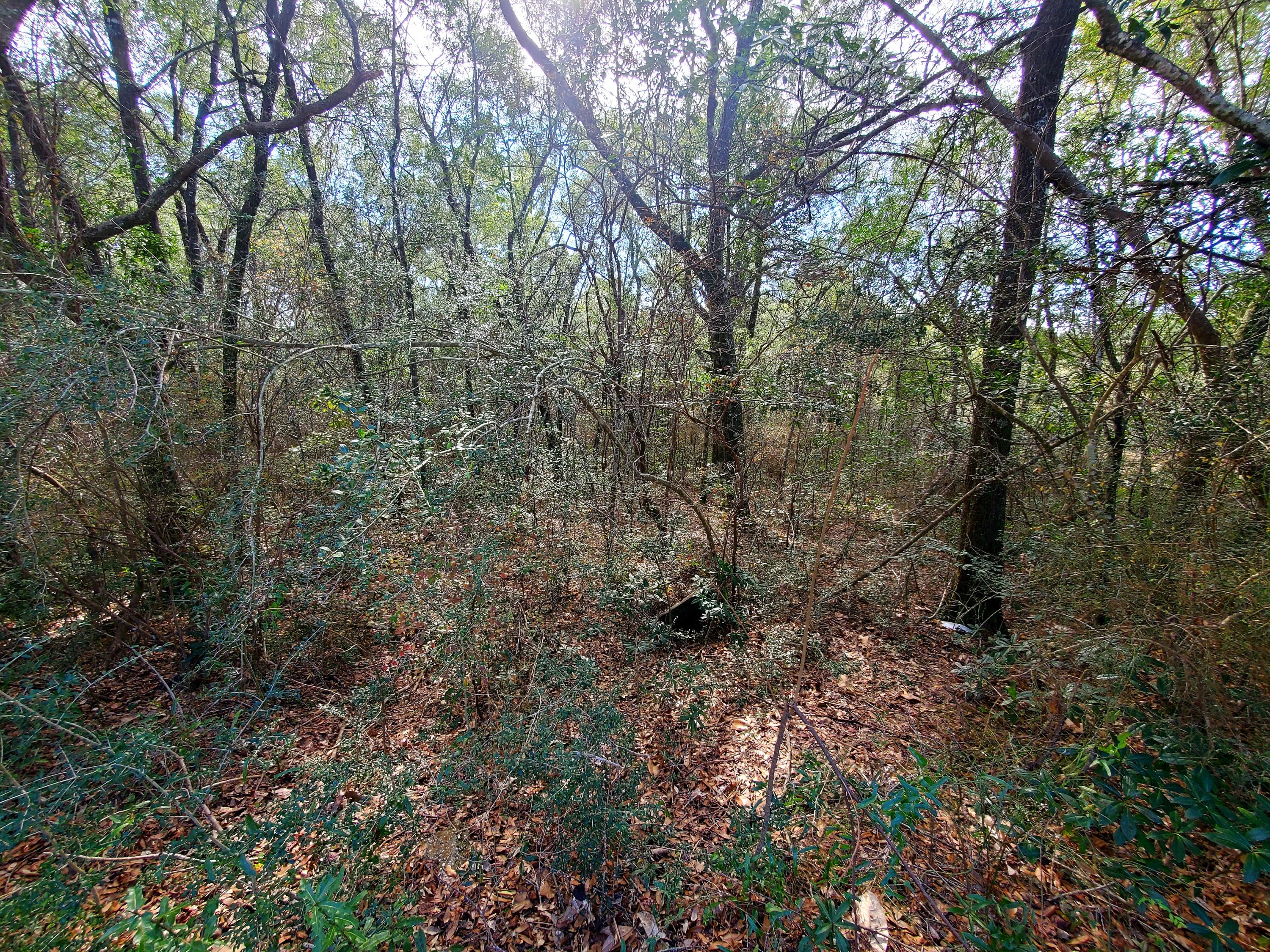 Indian trails - Land