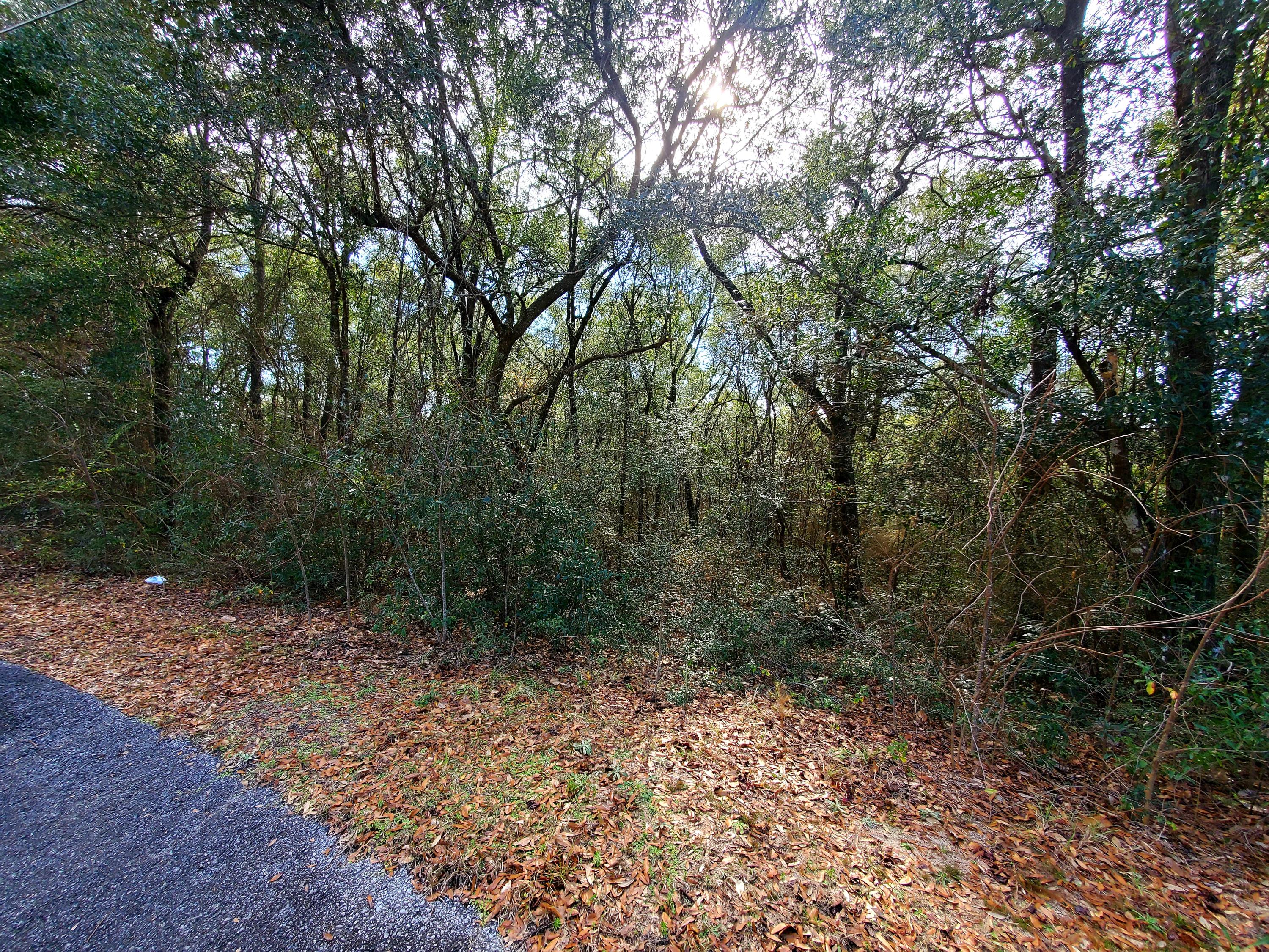 Indian trails - Land