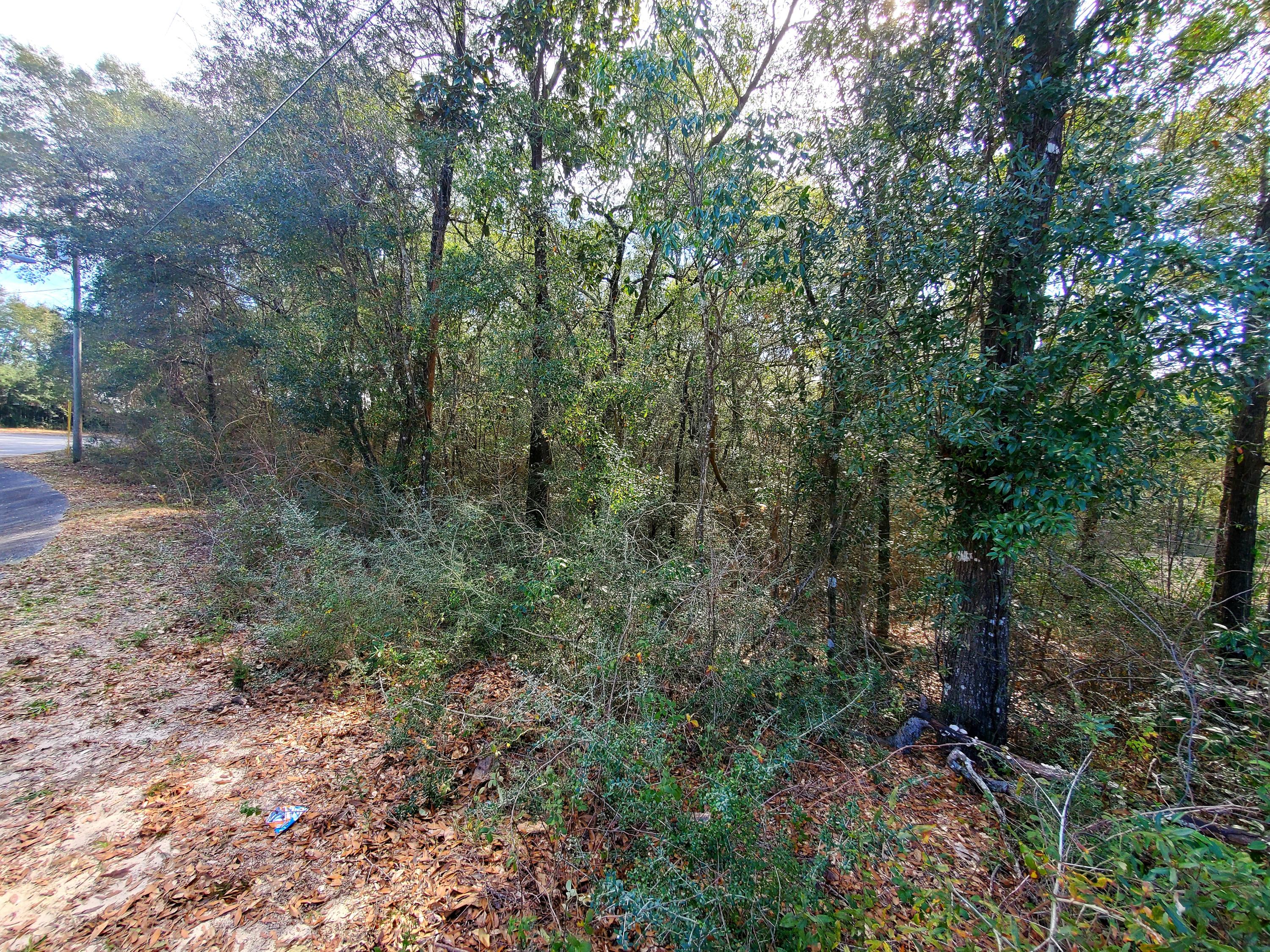 Indian trails - Land