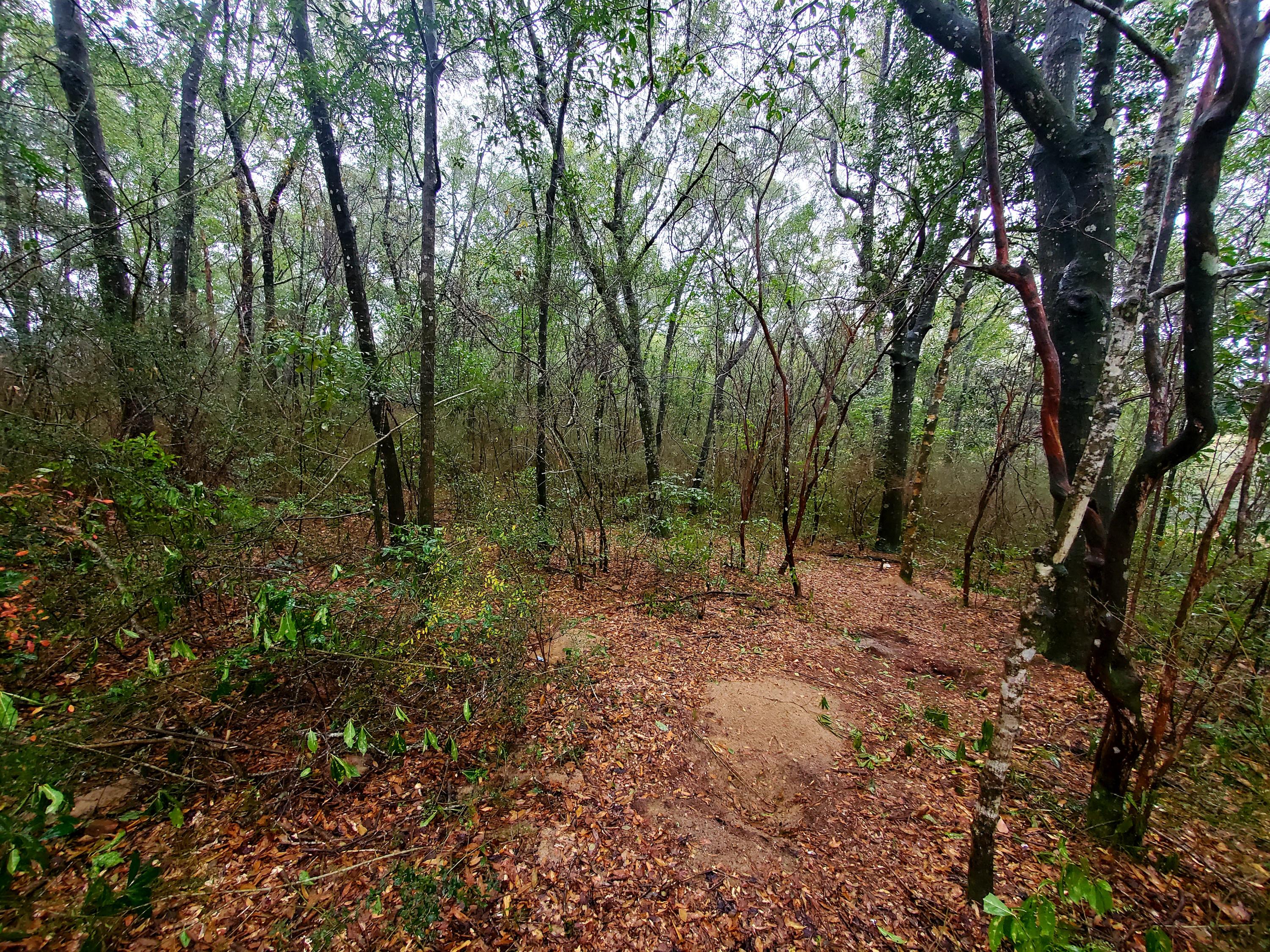 Indian trails - Land