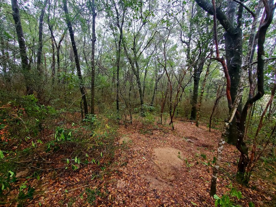 Grab your home plans and look no further. If you are looking to build and want a quite homesite in a well established community this lot is a must see.This beautiful .68 acre parcel has mature hardwoods that would make for perfect curb appeal around your new home. To top things off you are right beside a quite undeveloped cul-de-sac which will be great for when the kids want to go out and play. The neighborhood also offers access to a 3 community pond that would be great for a family picnic or a relaxing afternoon of fishing.