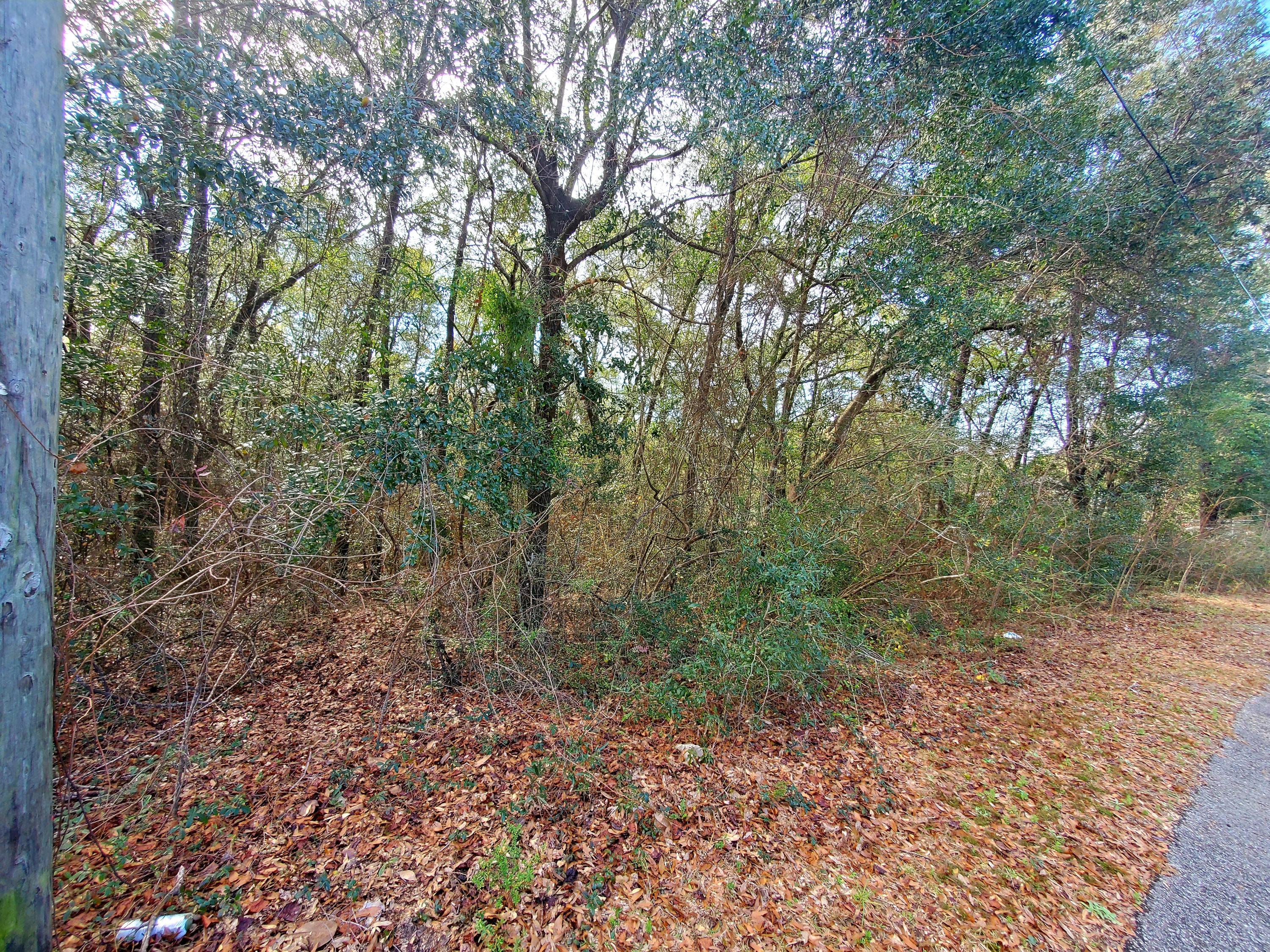 Indian trails - Land