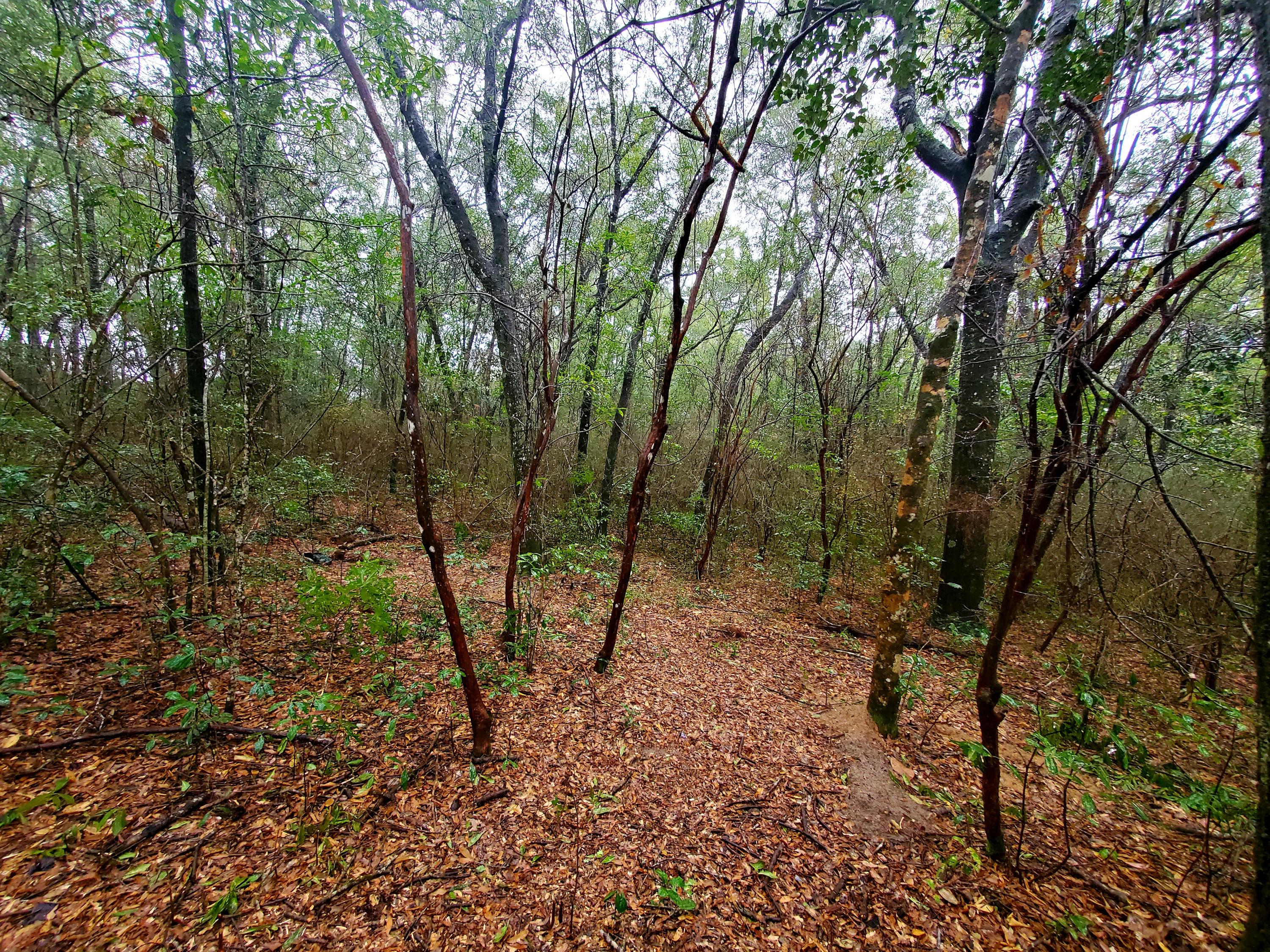 Indian trails - Land