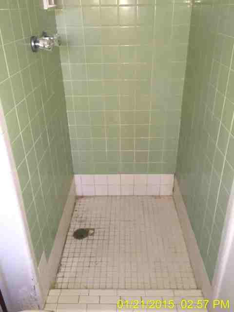 BRYN MAWR PARK 1ST ADDN - Residential