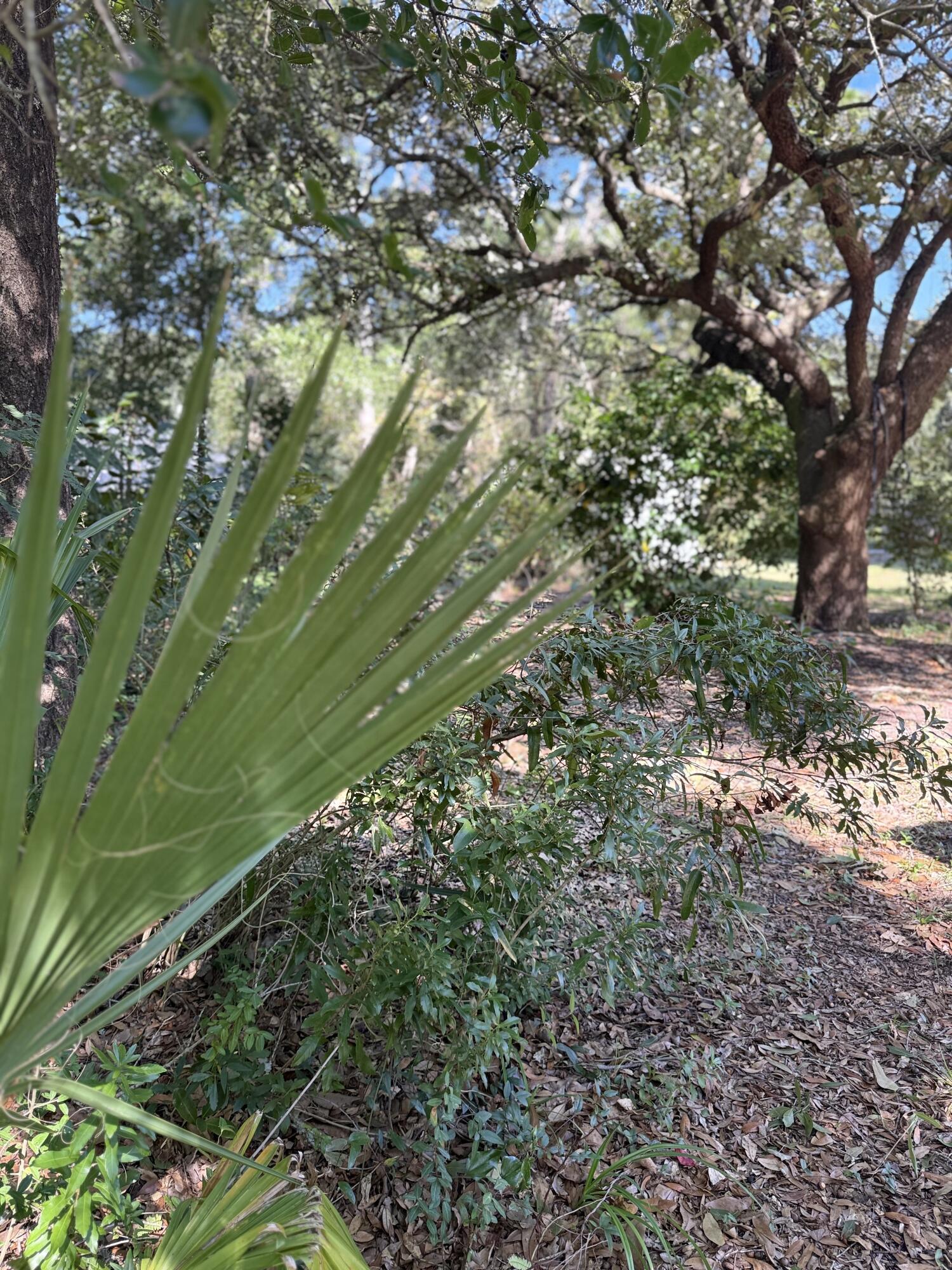 ROBLEDAL ESTATES - Residential