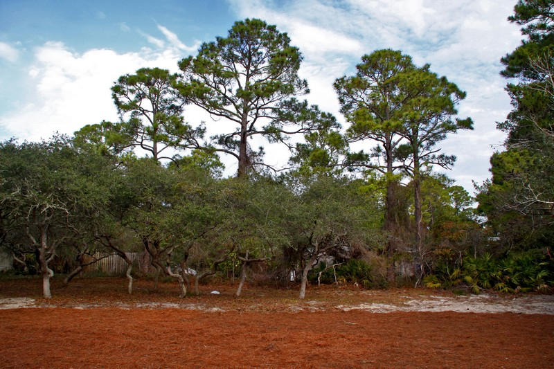 Henderson Place - Residential