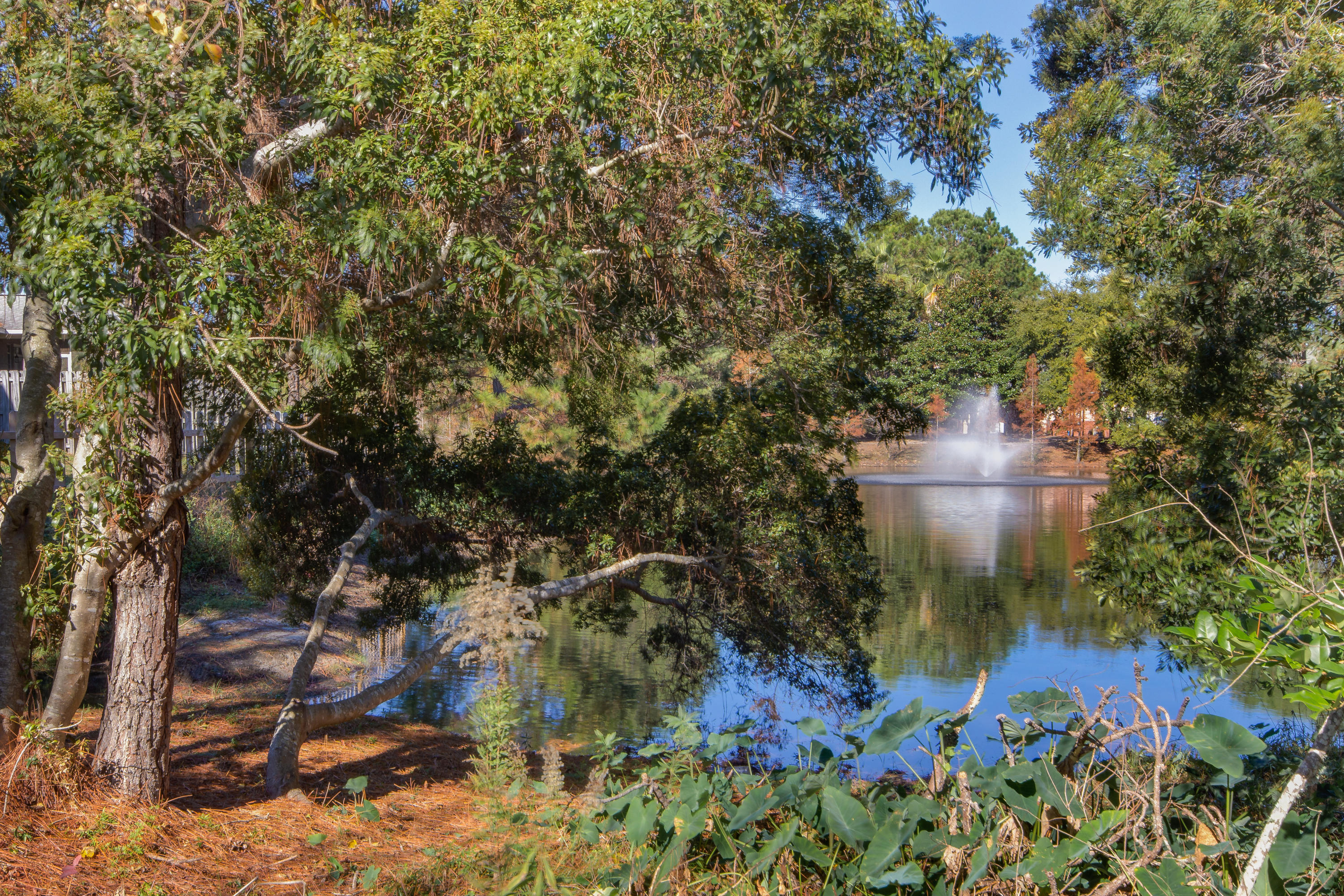 ESCADA - Residential