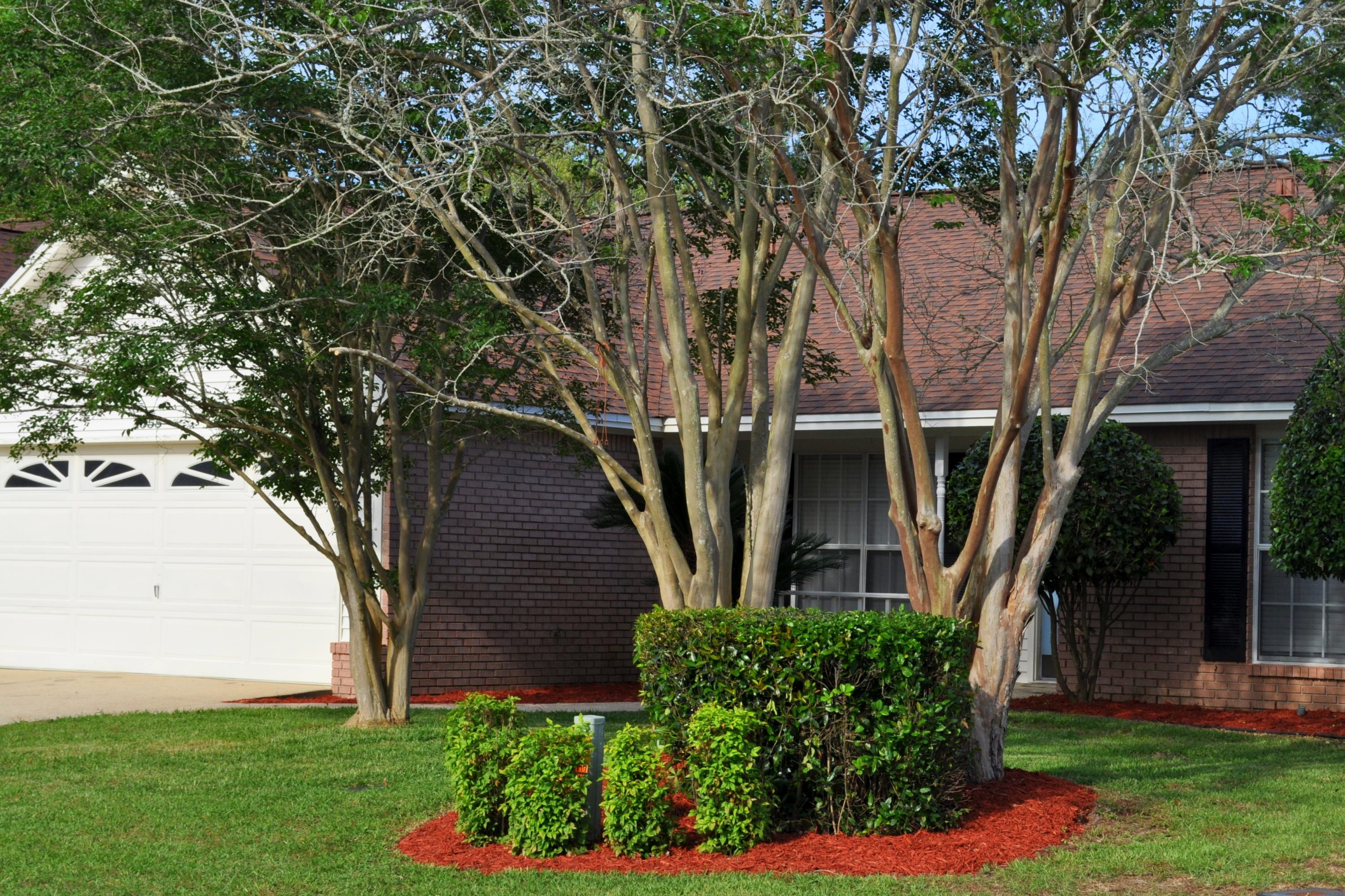 BLUE PINE VILLAGE PH 3 - Residential