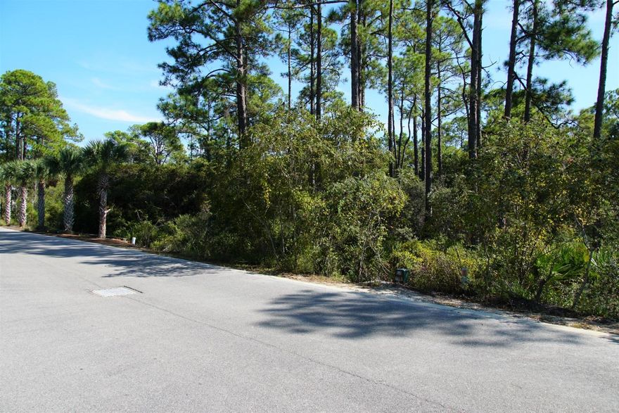 It's a great time to buy in Treetops!!! This lot is within a short walk to the community pool and backs to protected woodland. Beautiful trees and natural vegetation within this gated subdivision with a spring fed creek running through the community. There are 2 gated entrances into this subdivision, one off Hwy 98 and one in the back of Seacrest Beach subdivision. There is NO BUILD OUT TIME and Tap Fees are Paid. A great community pool and deeded beach access is another added feature for this community. Enjoy the surrounding area with Rosemary, Seacrest and Alys Beach as your neighbors.