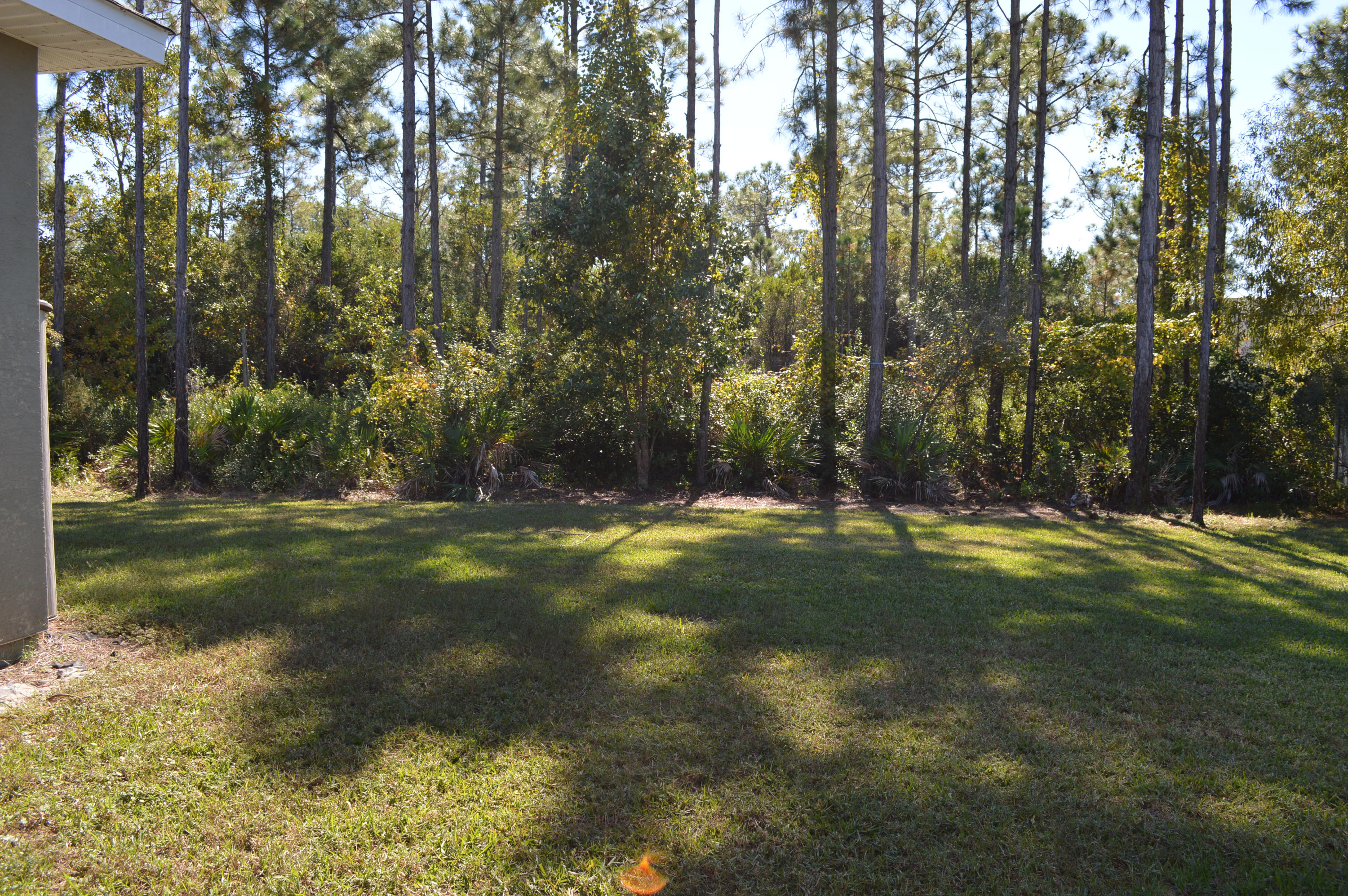 Palmetto Trace Phase IV - Residential