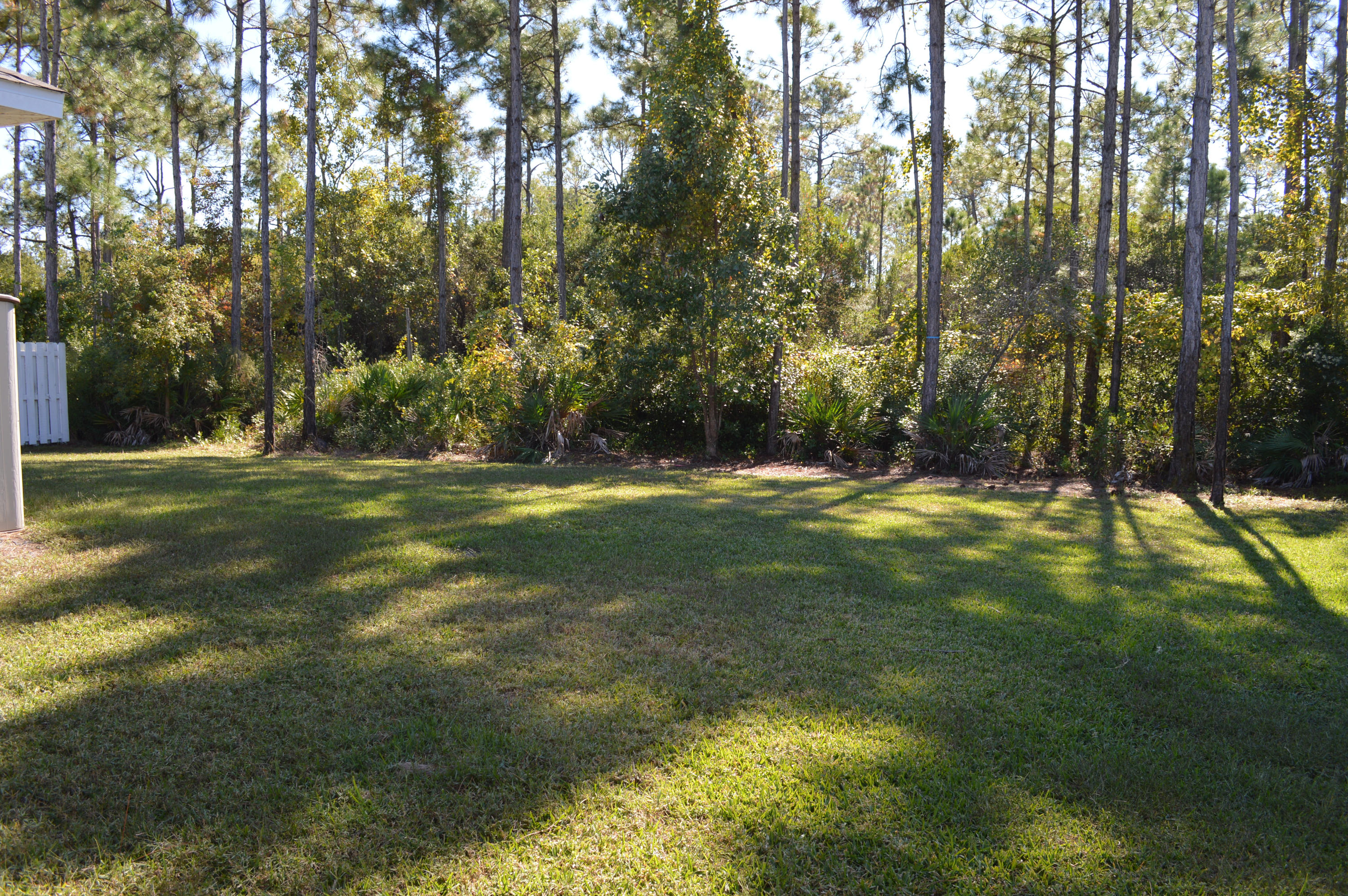 Palmetto Trace Phase IV - Residential