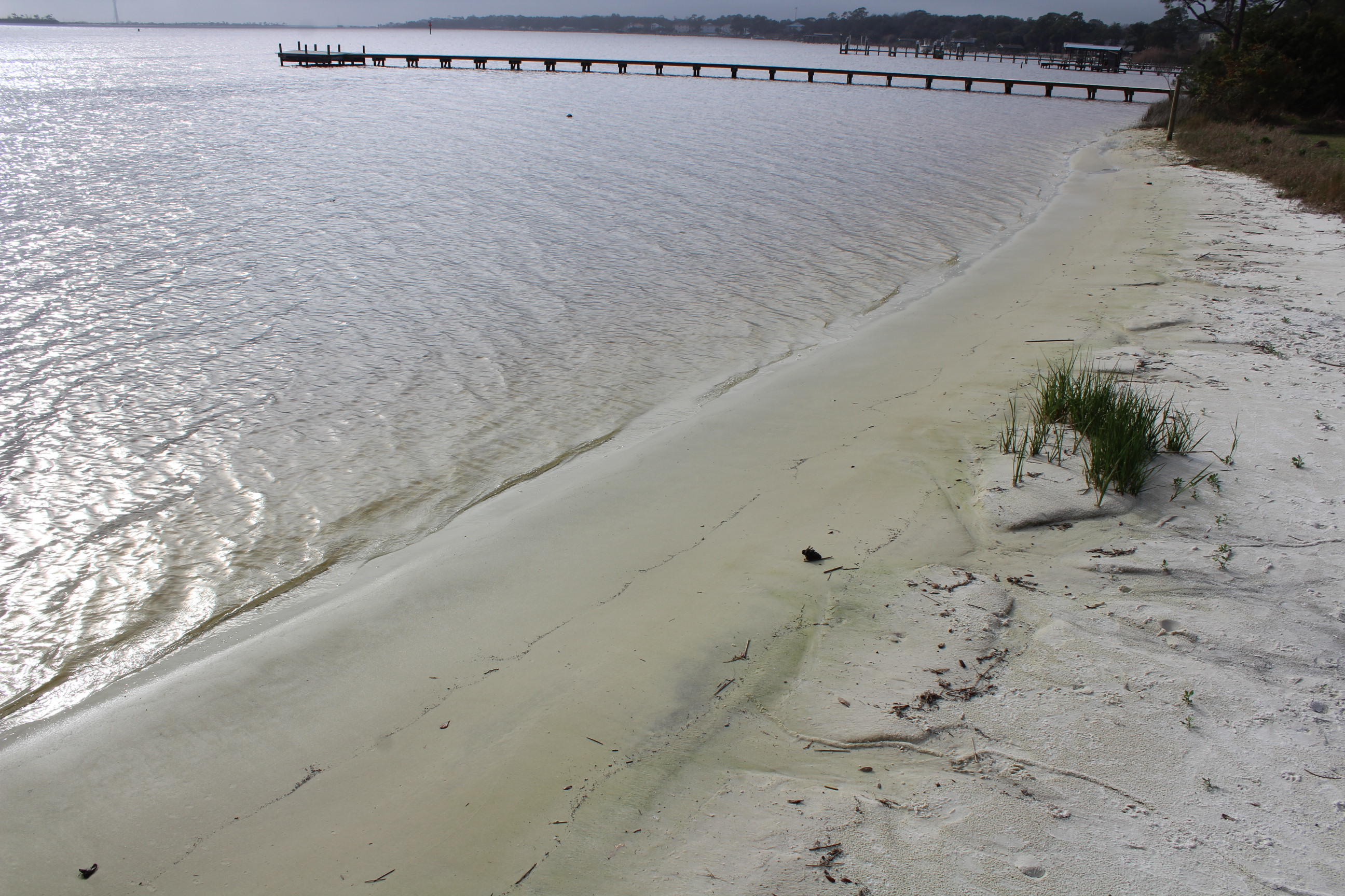 INTERCOASTAL POINTE - Residential