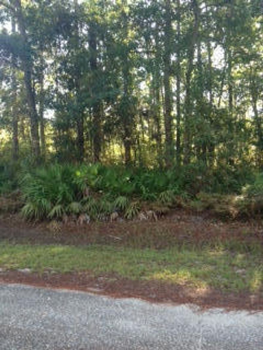 Nice wooded lot in super quiet subdivision off of Bay Loop Road (County Road 83-A). City water & sewer available. Priced to sell.