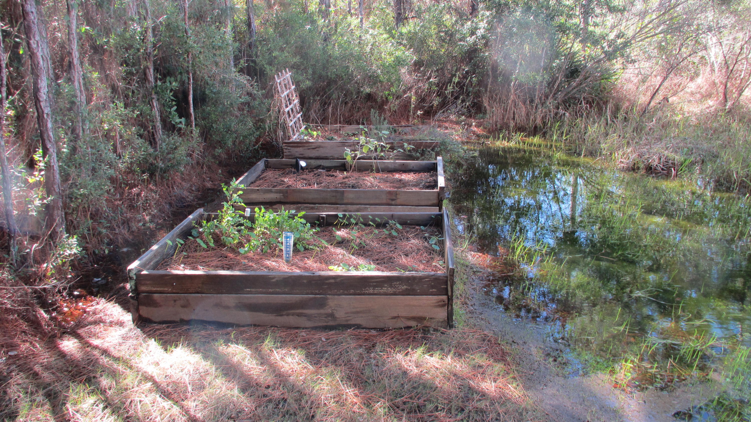 EAGLE BAY - Residential