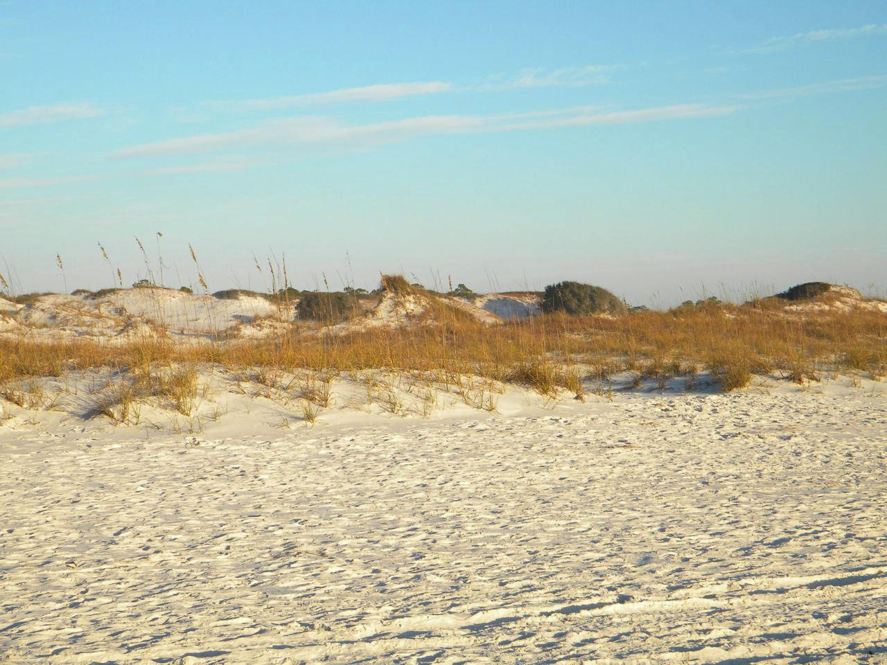 LAGUNA BEACH ESTATES 9TH ADDN - Land