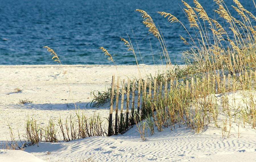 LAGUNA BEACH ESTATES 9TH ADDN - Land