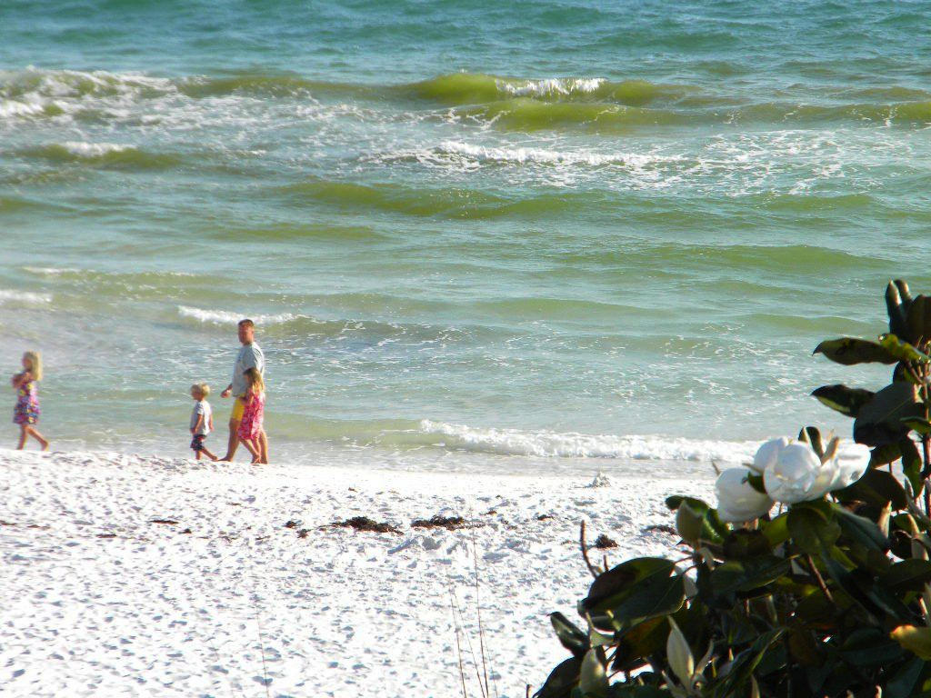 LAGUNA BEACH ESTATES 9TH ADDN - Land