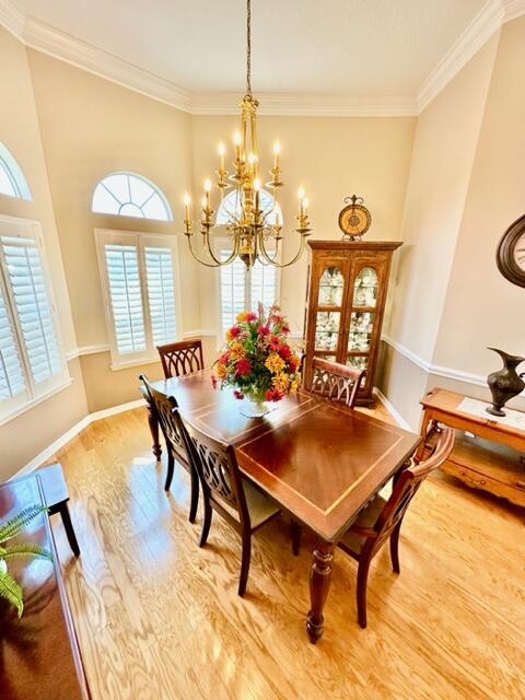 BRIDGEPORT COLONY - Residential