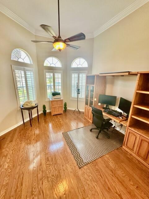 BRIDGEPORT COLONY - Residential