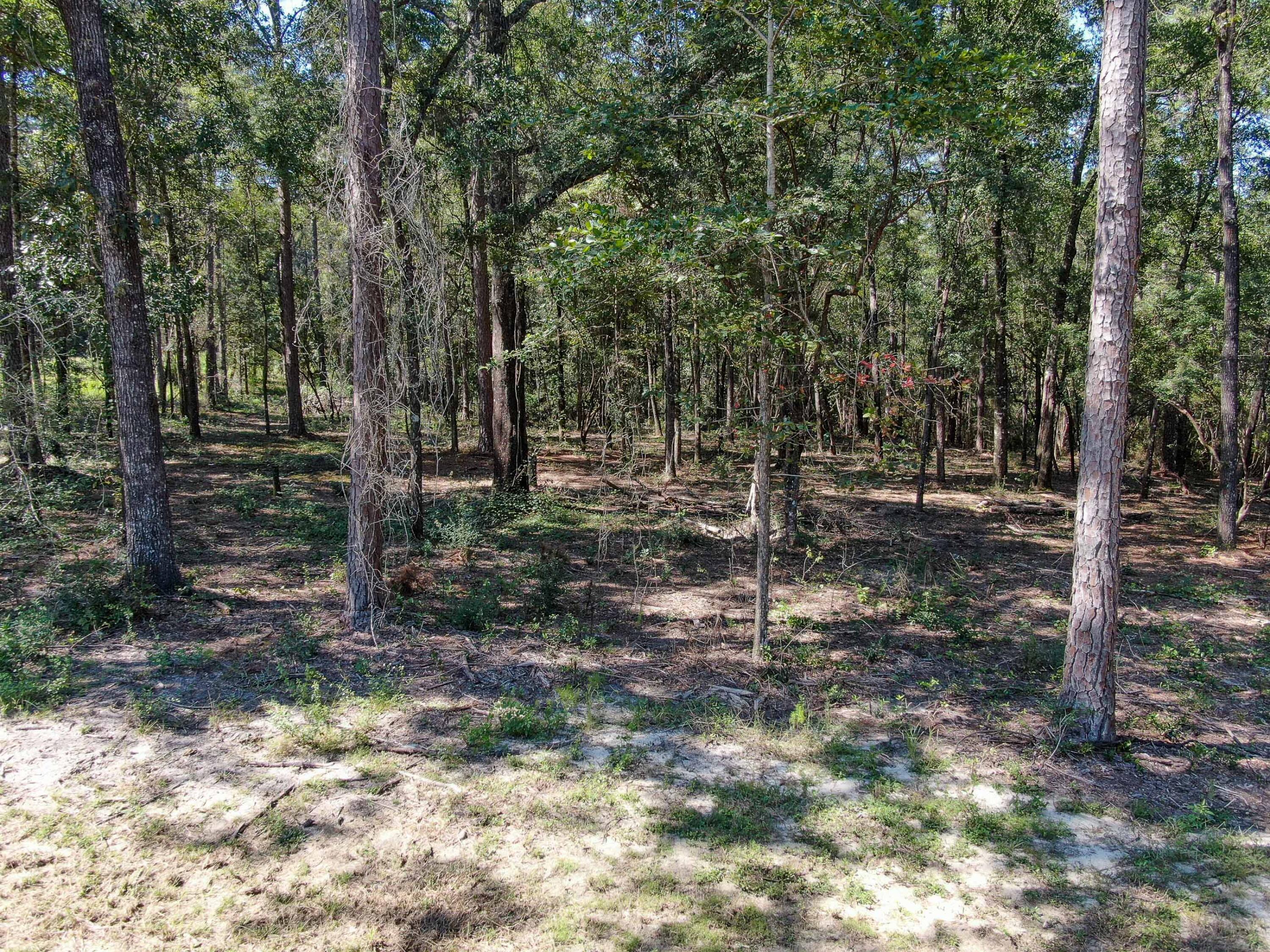 DEFUNIAK SPRINGS TOWN OF - Land
