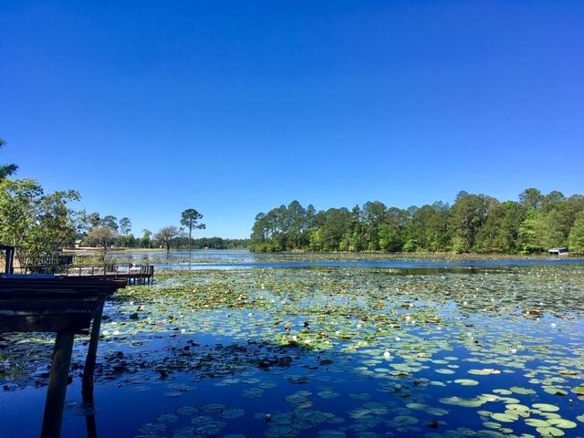 JUNIPER LAKE UNREC - Residential