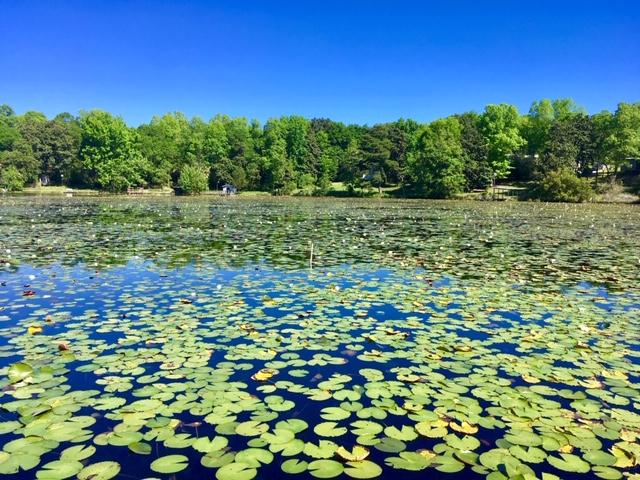 JUNIPER LAKE UNREC - Residential