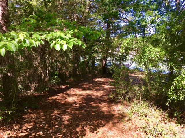 JUNIPER LAKE UNREC - Residential