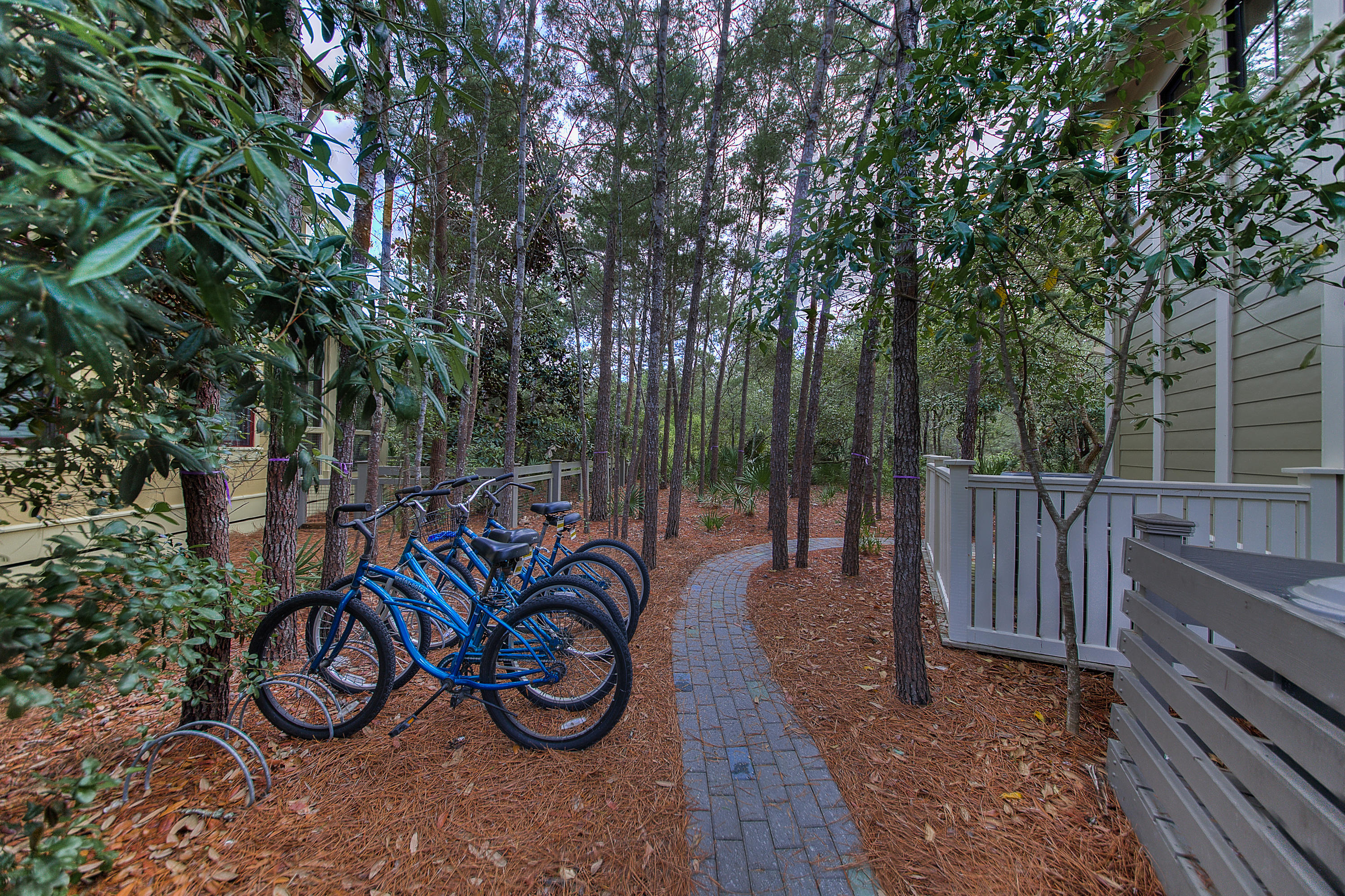 WATERCOLOR - Residential