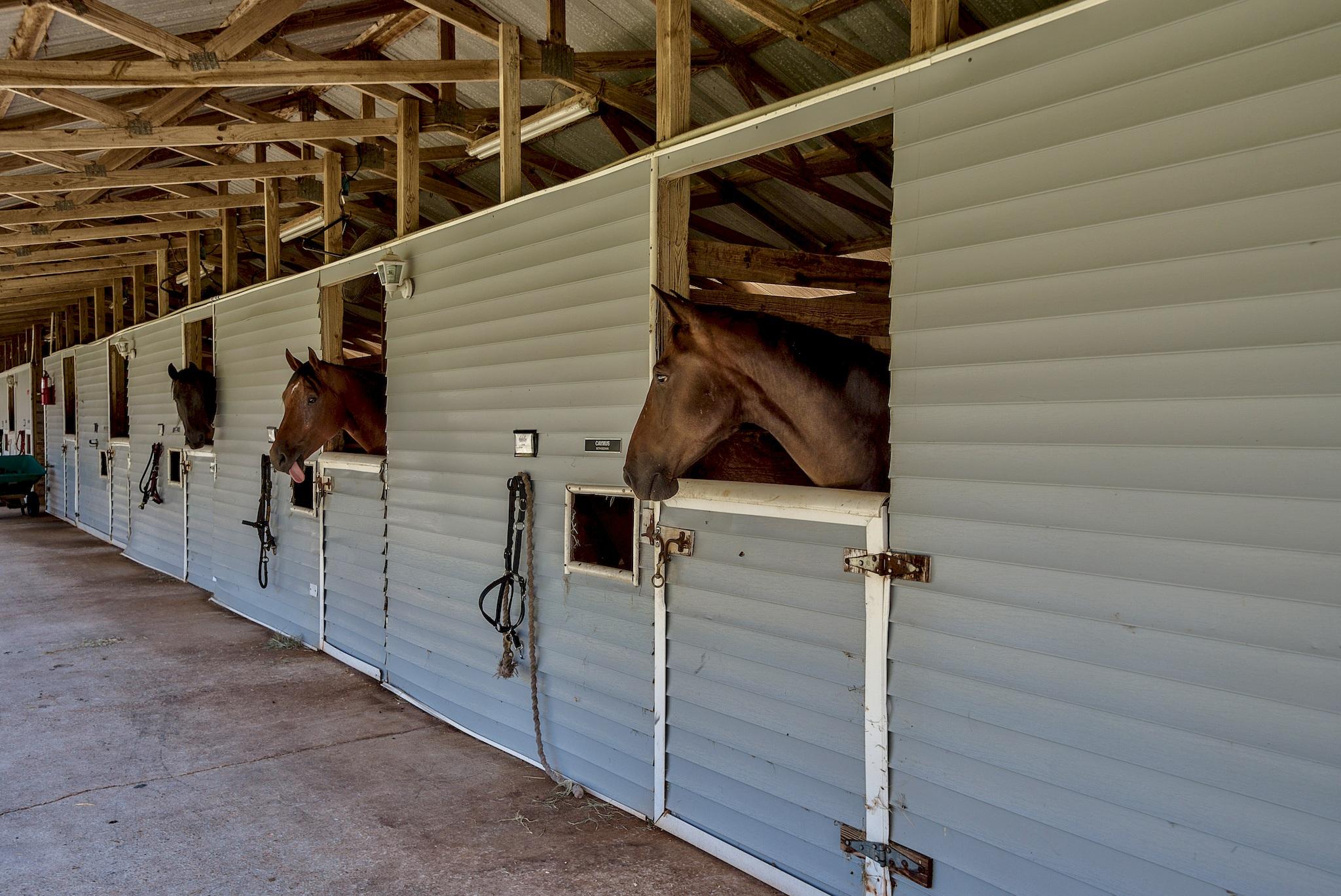 KELLY PLANTATION S/D - Land