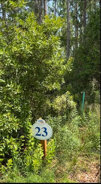 Freeport, Florida 32439, United States, ,Land,Active,59948