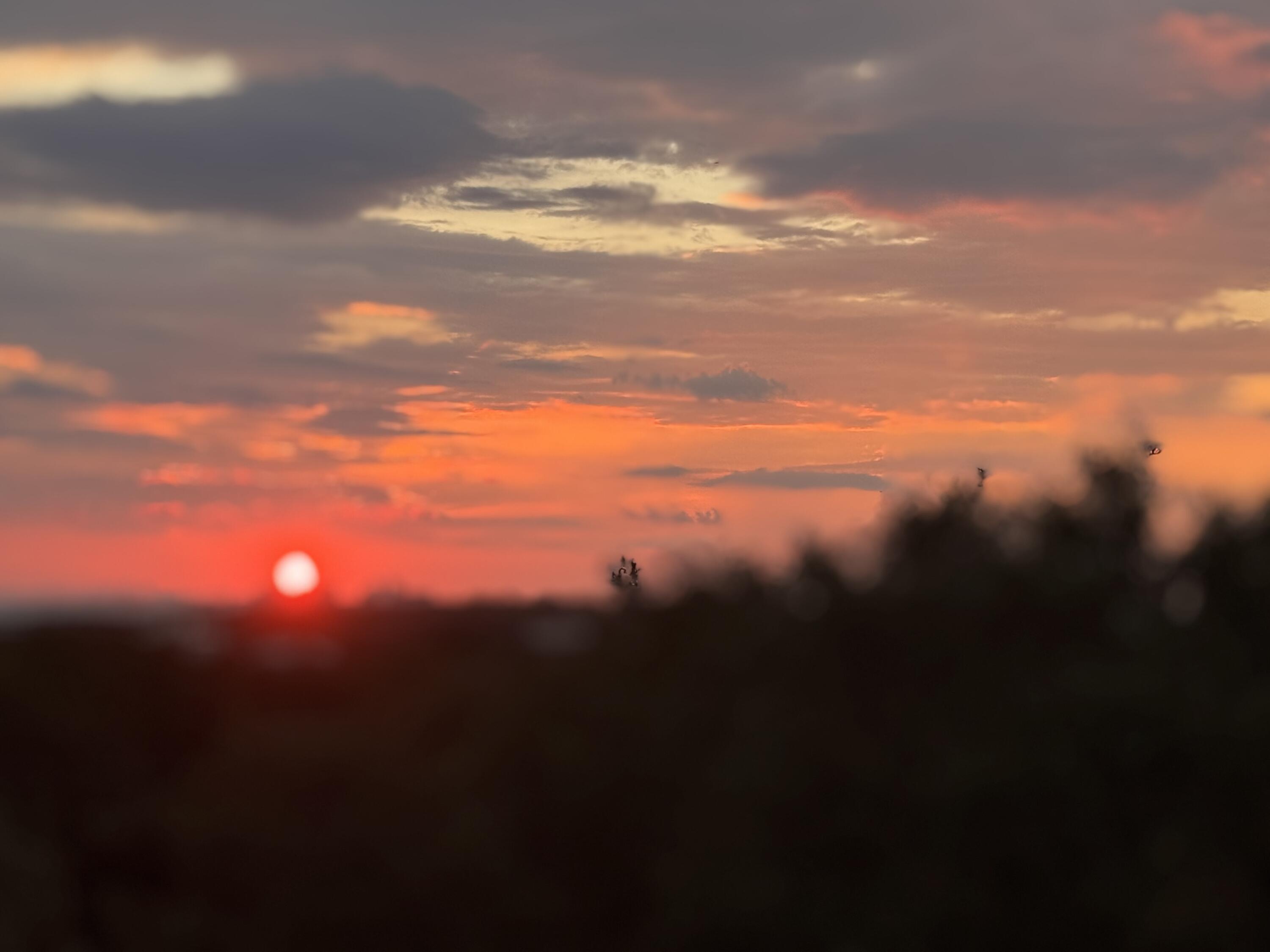 BEACH HIGHLAND 1ST ADD - Residential Lease