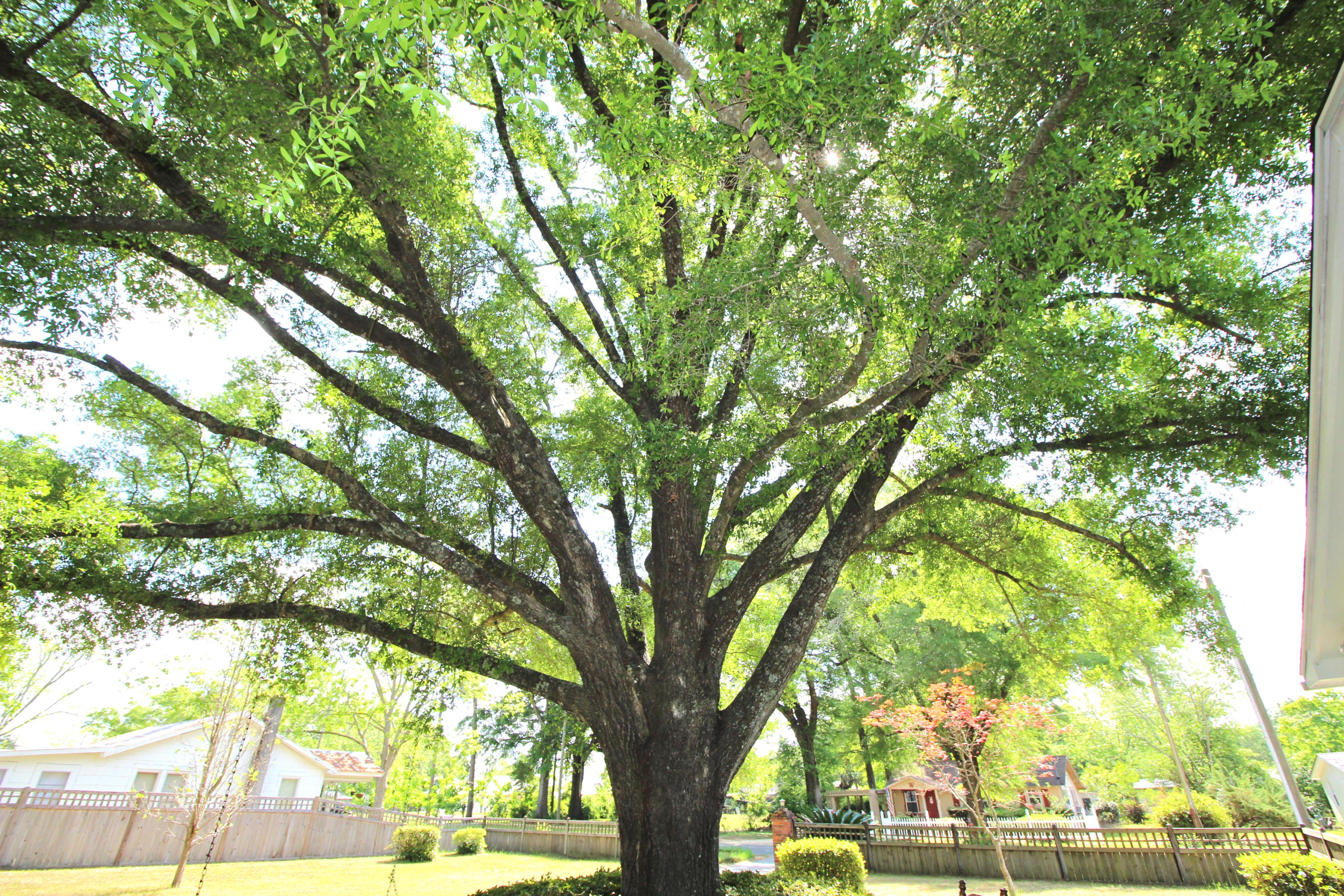TOWN OF DEFUNIAK SPRINGS - Residential