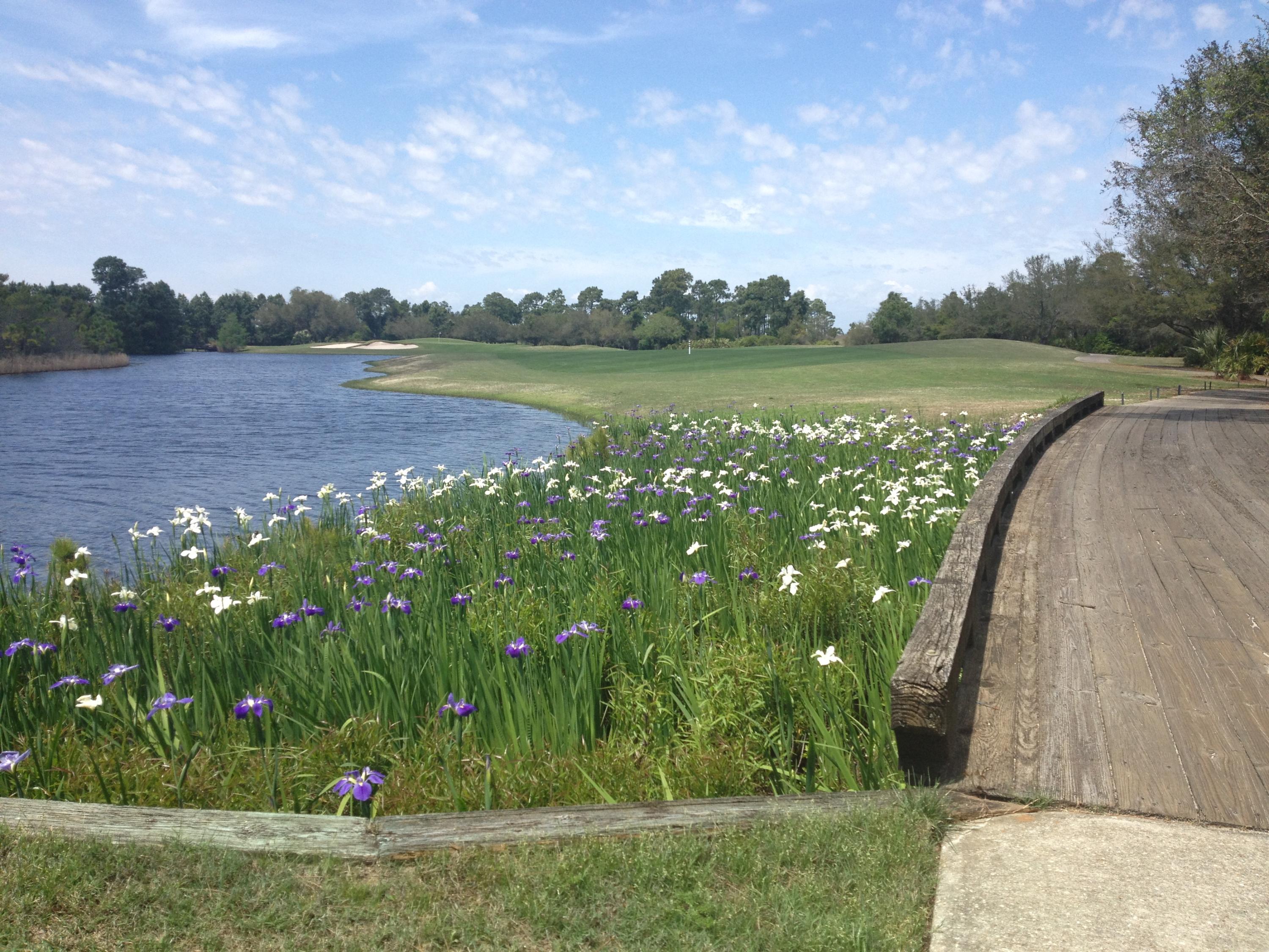 REGATTA BAY PH 2 - Residential