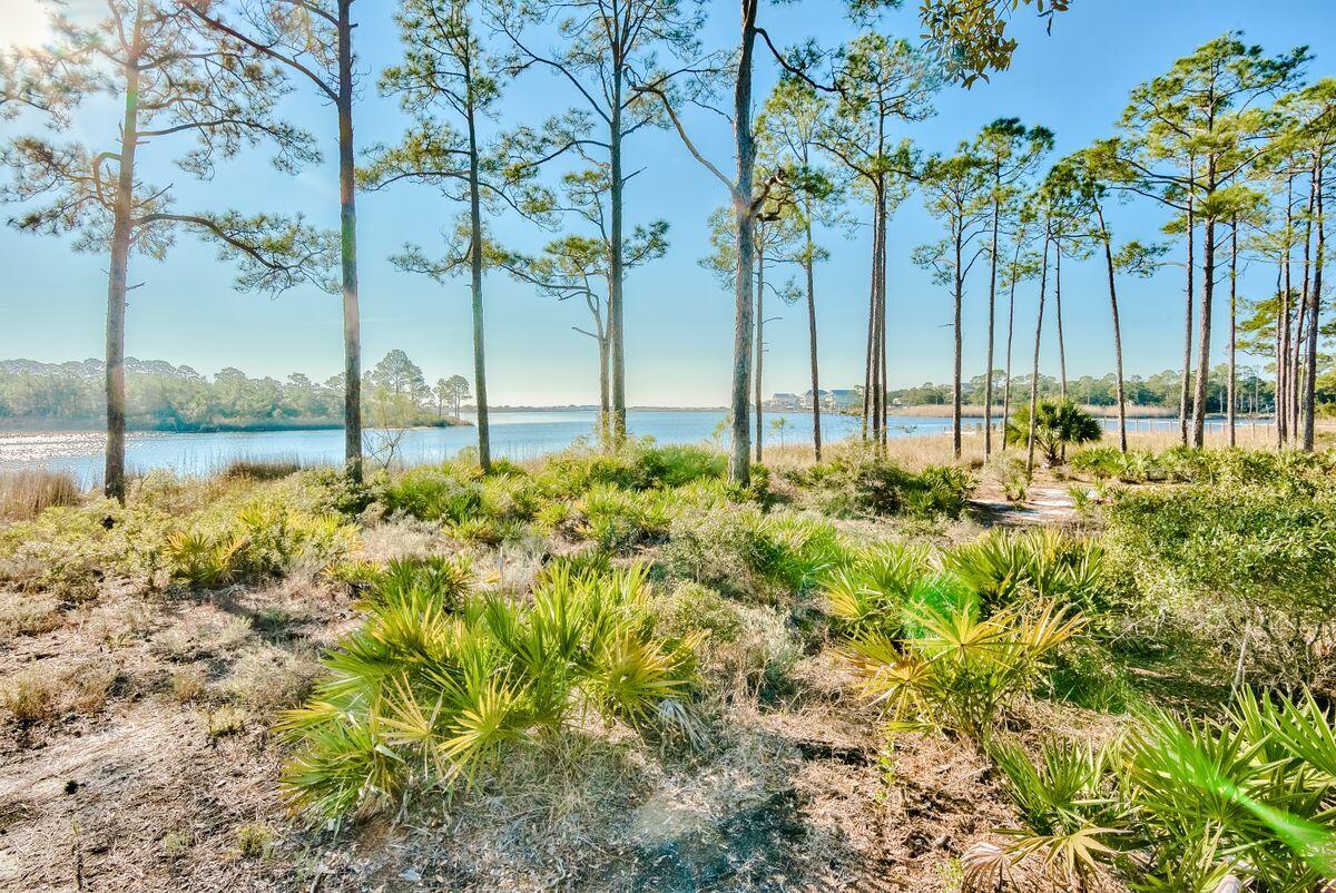 LAKE PLACE AT GRAYTON BEACH T/H - Residential