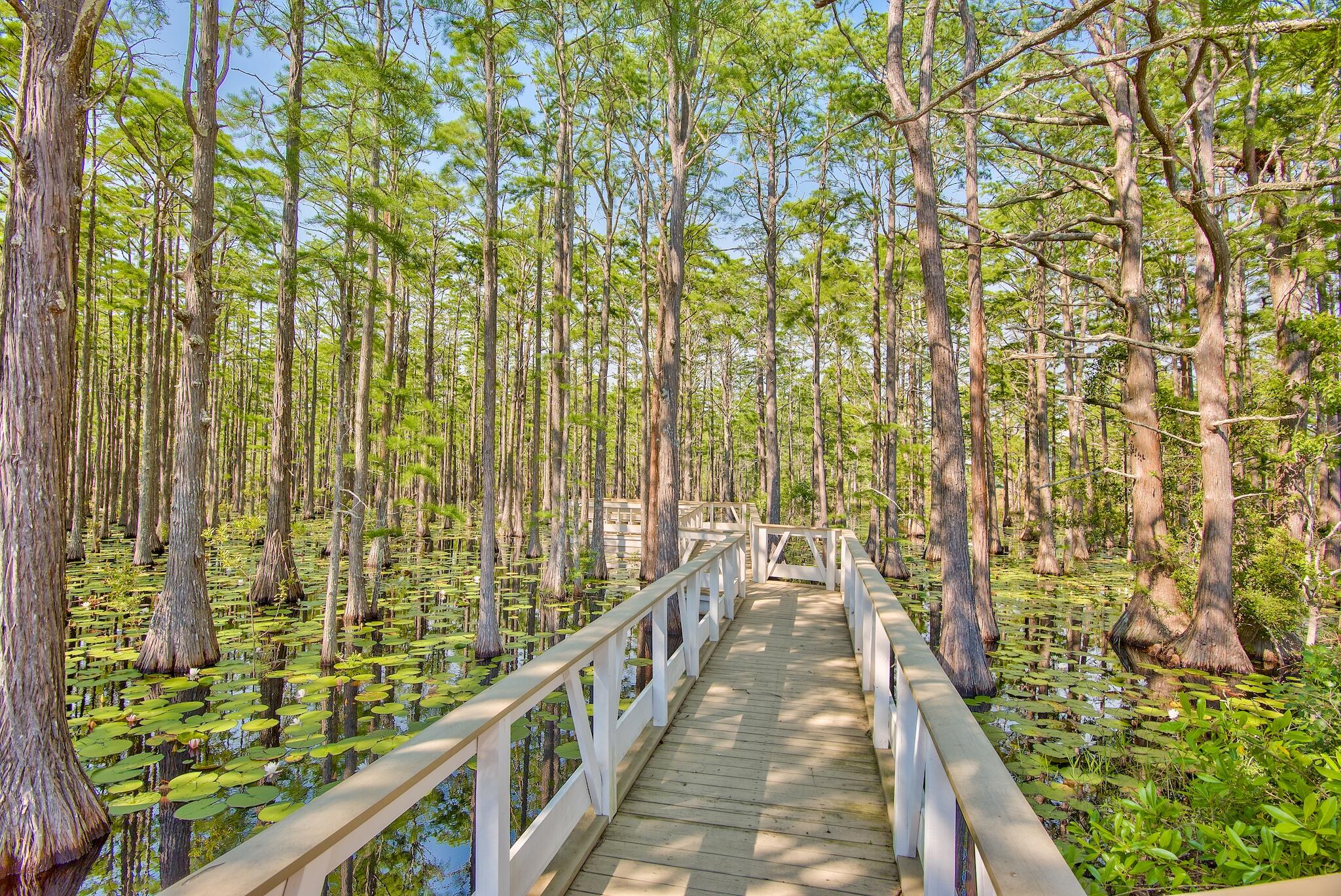 CYPRESS DUNES - Land