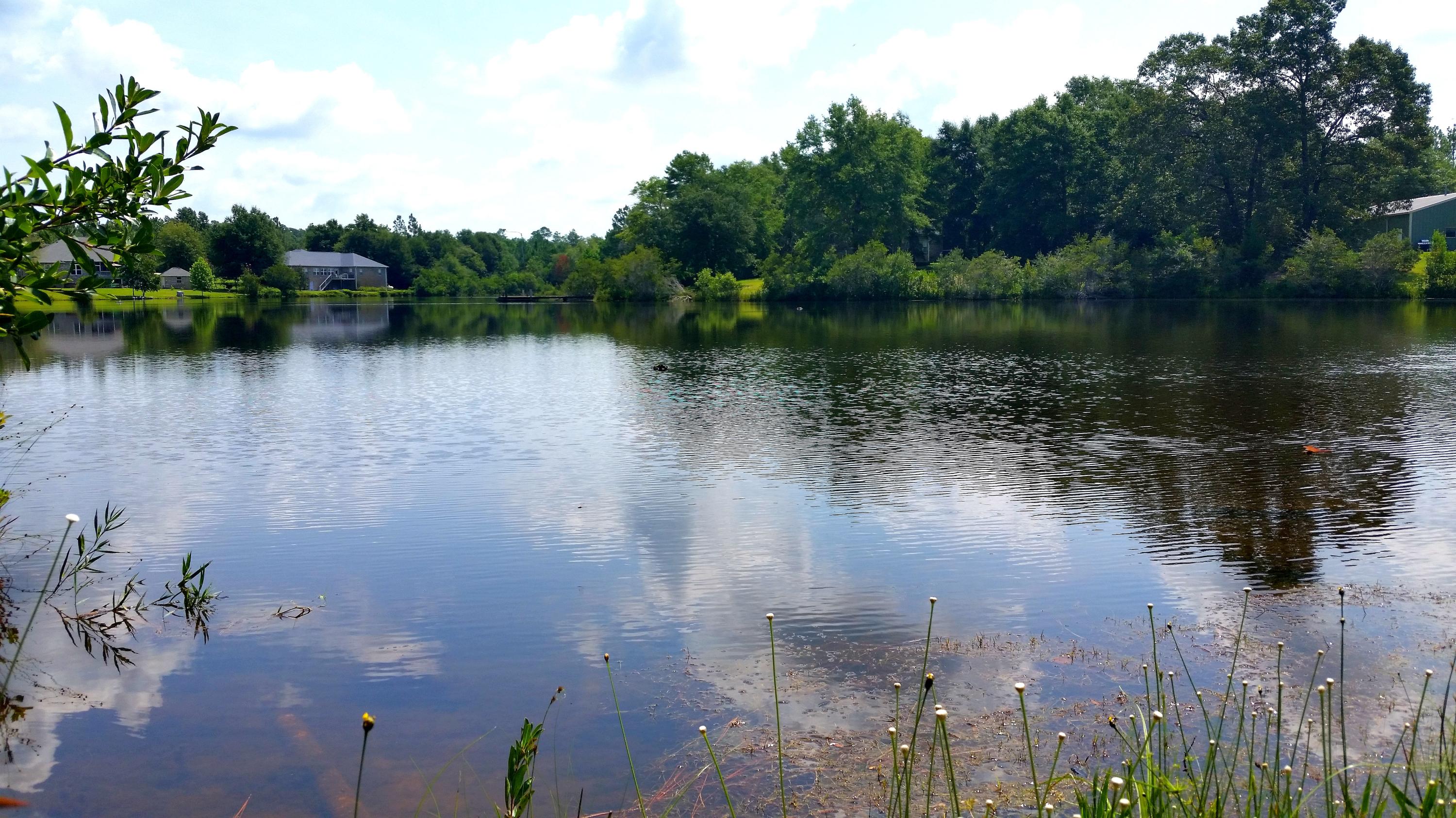 LAKE ARTHUR ESTATES - Residential