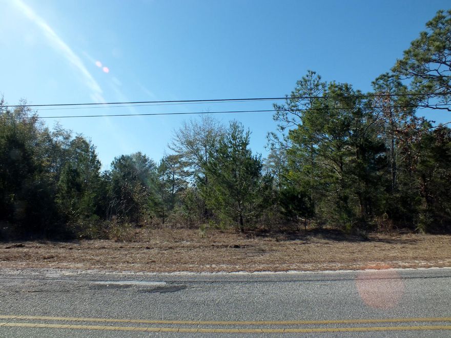Very nice vacant land parcel offering several building possibilities.  Public water and power are available at the road; however, a septic system will be required.  The property can be split into 2 parcels, as the zoning is Rural Village, offering an ideal situation for 2 families.  The land is within 15 minutes of historic downtown DeFuniak Springs and less than 1 hour to the beaches, dining, and shopping of South Walton.