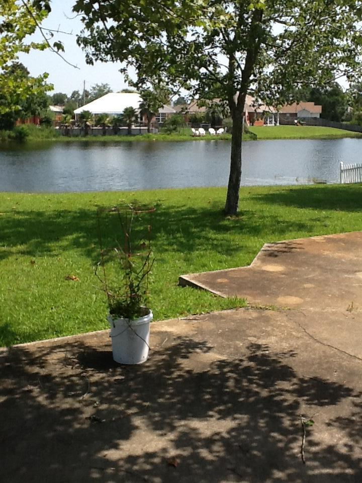 ORION LAKE - Residential