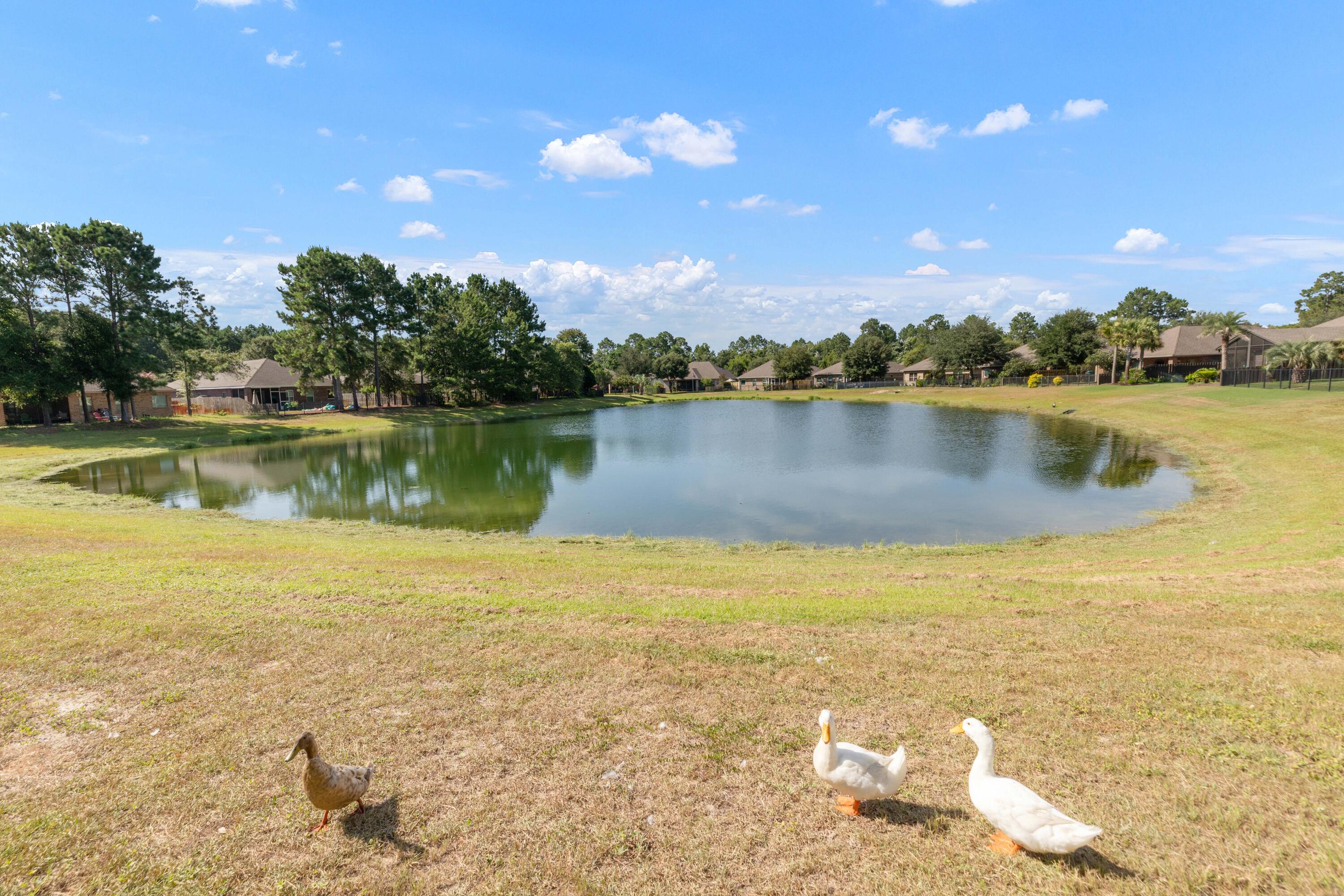 HAMMOCK BAY - Residential
