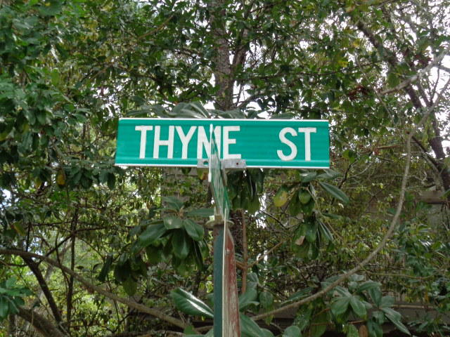 SEAGROVE 1ST ADDN - Land