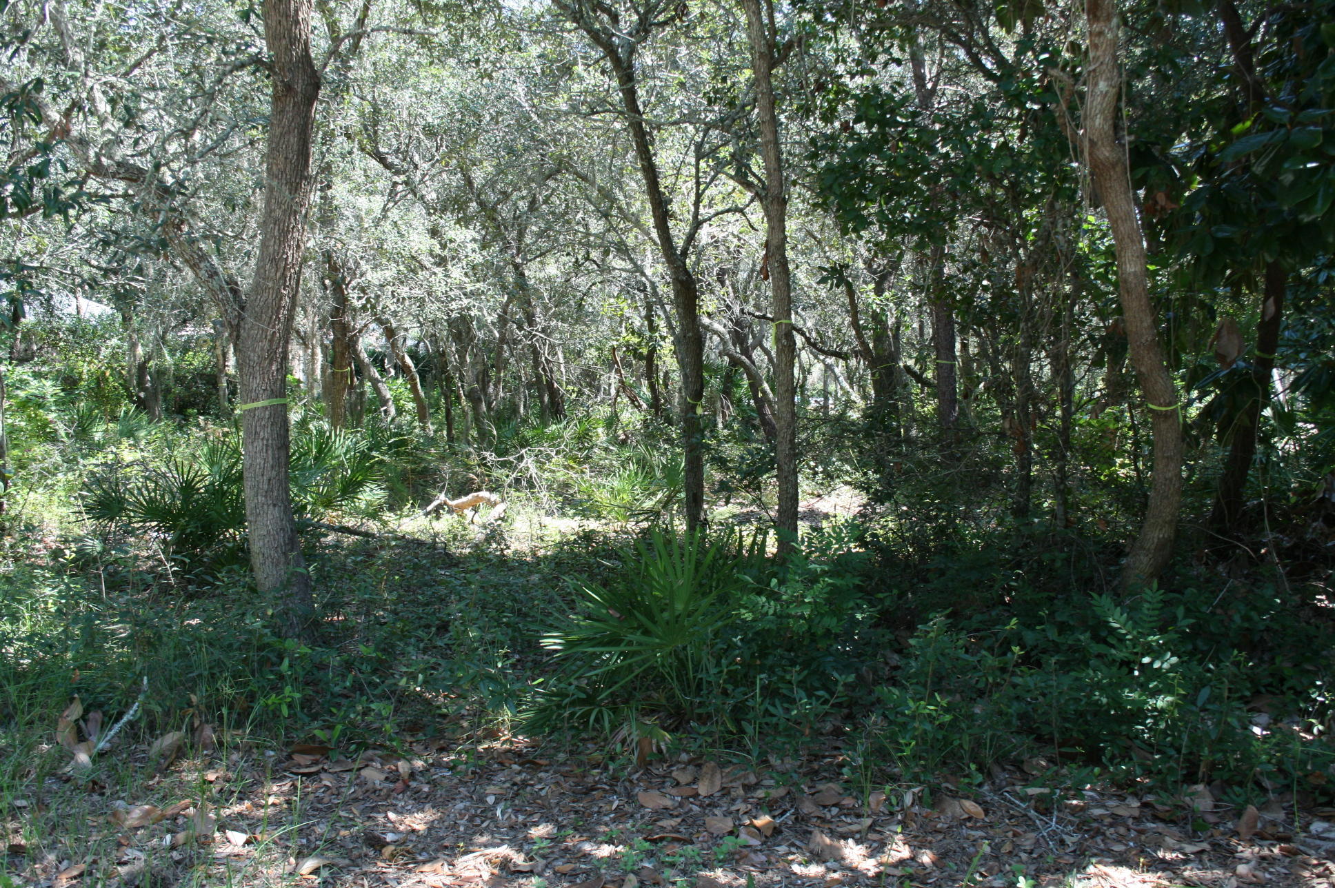 KELLY PLANTATION S/D PH 3 - Land