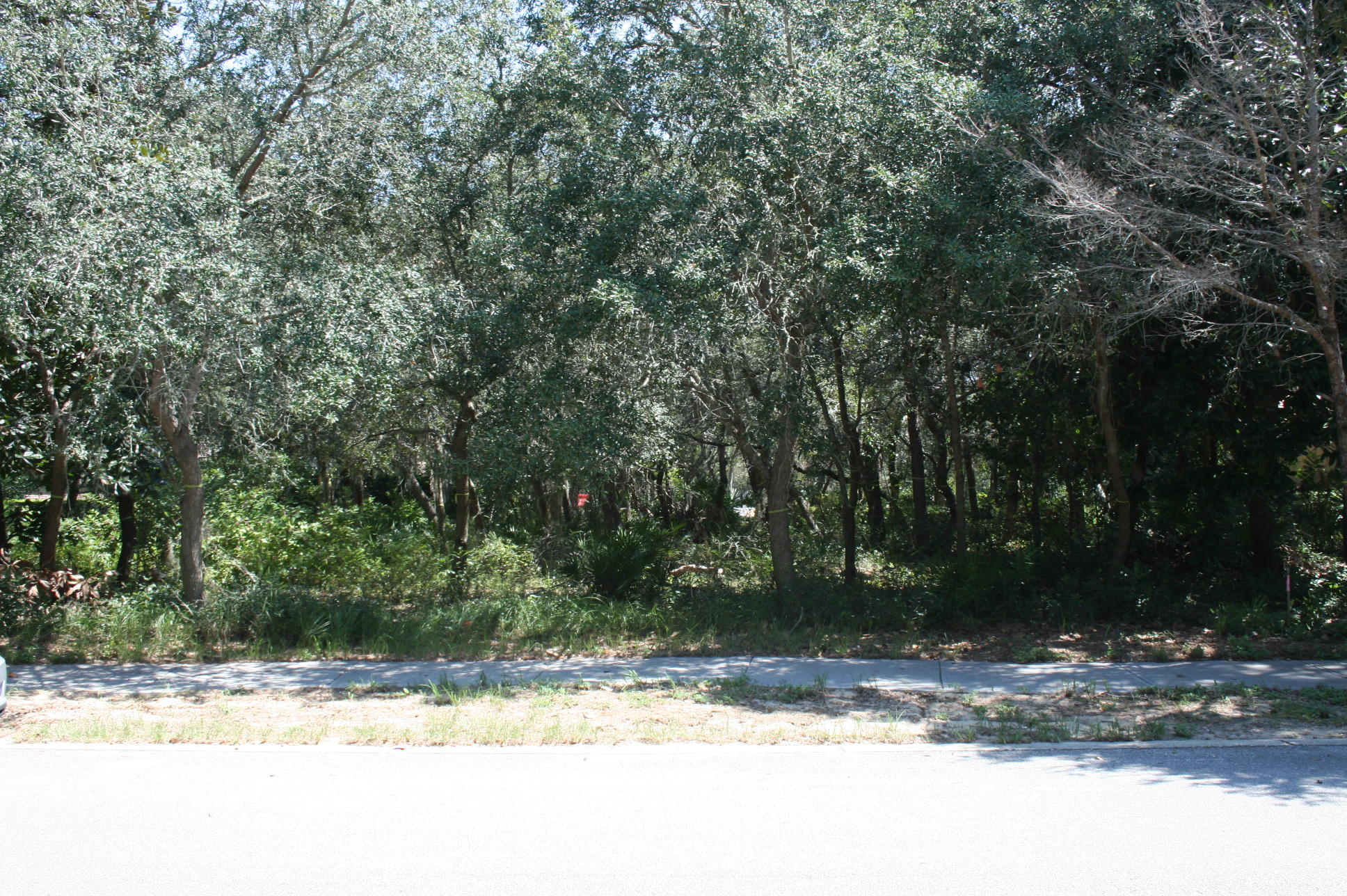 KELLY PLANTATION S/D PH 3 - Land