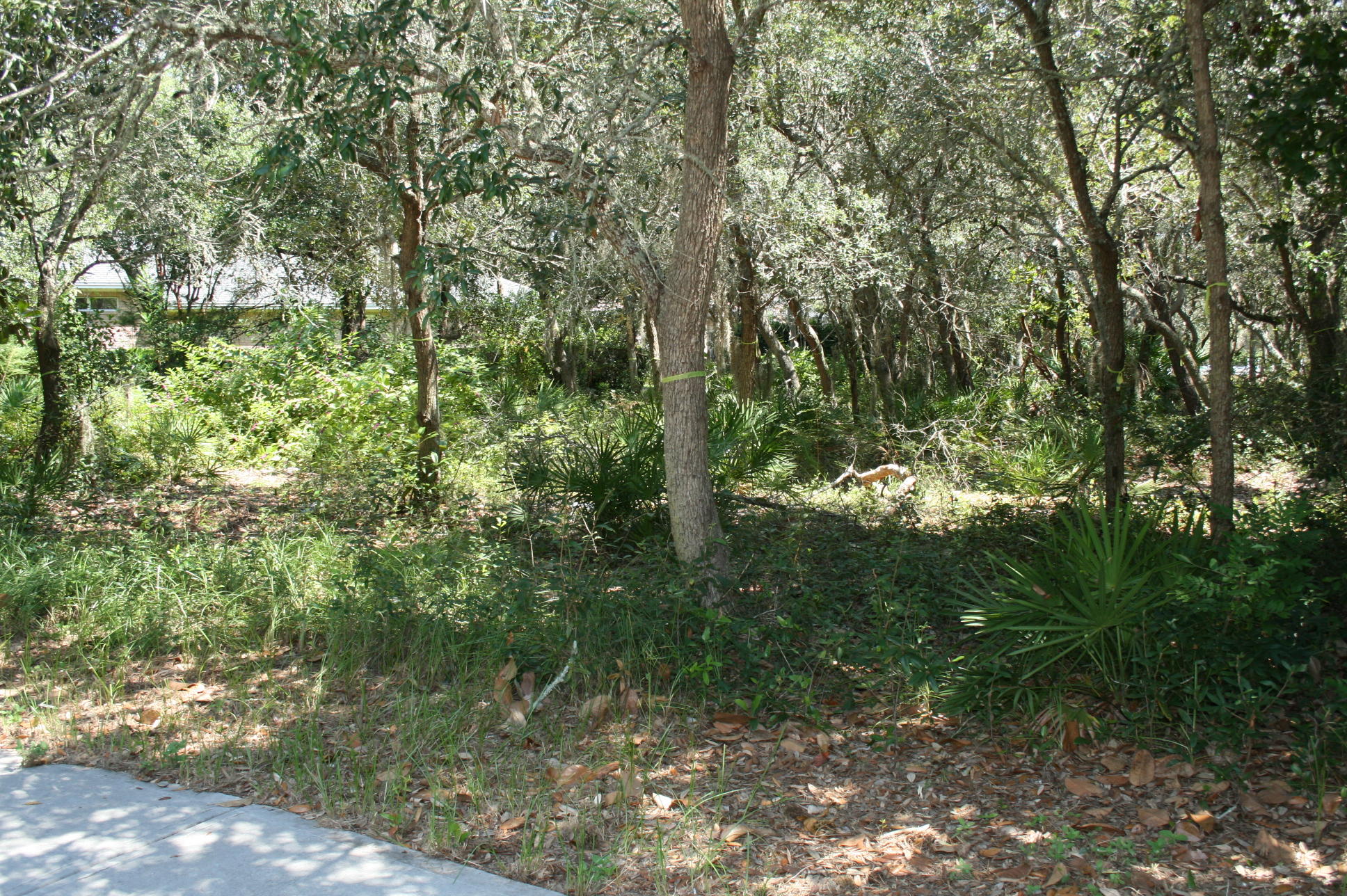 KELLY PLANTATION S/D PH 3 - Land