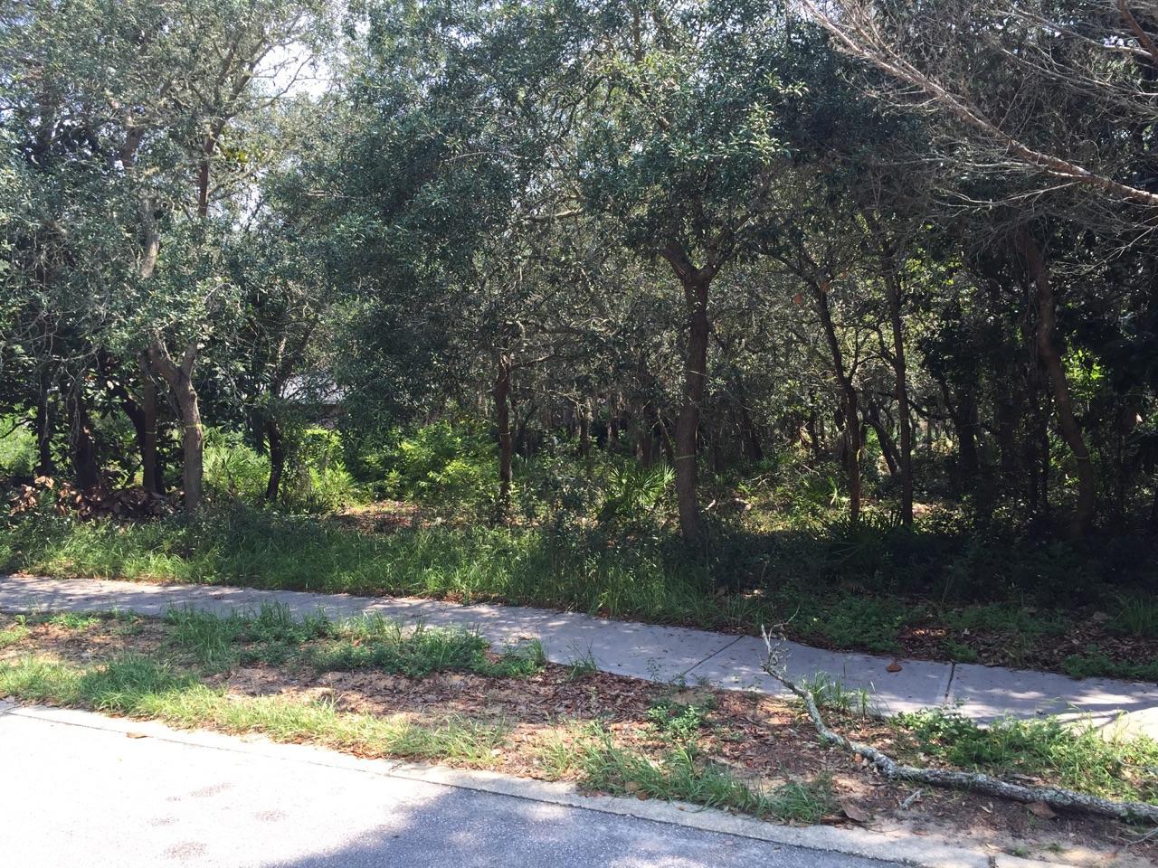 KELLY PLANTATION S/D PH 3 - Land