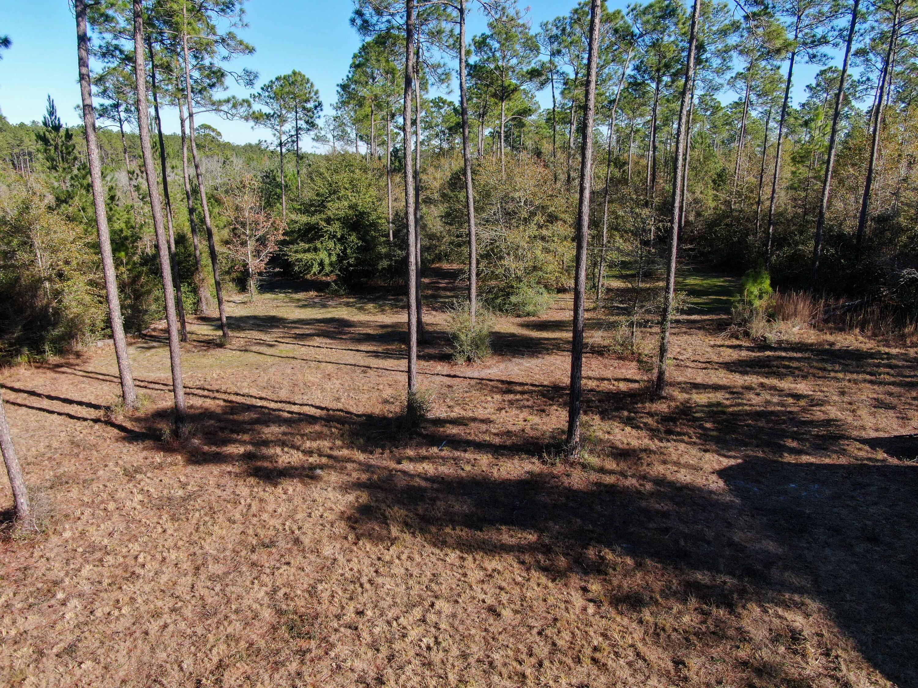 WALTON PLANTATION - Land