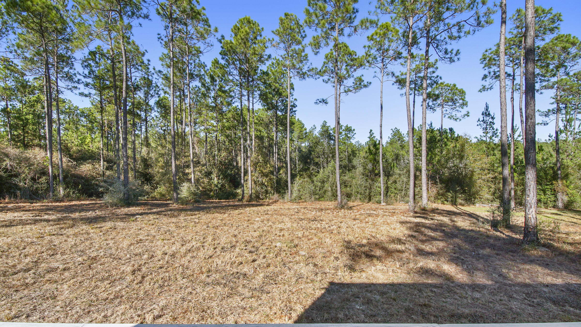 WALTON PLANTATION - Land